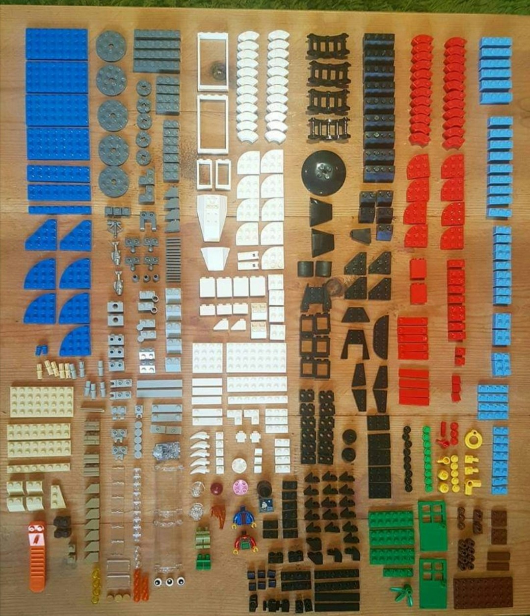 Go to Michelle Phillips's profile