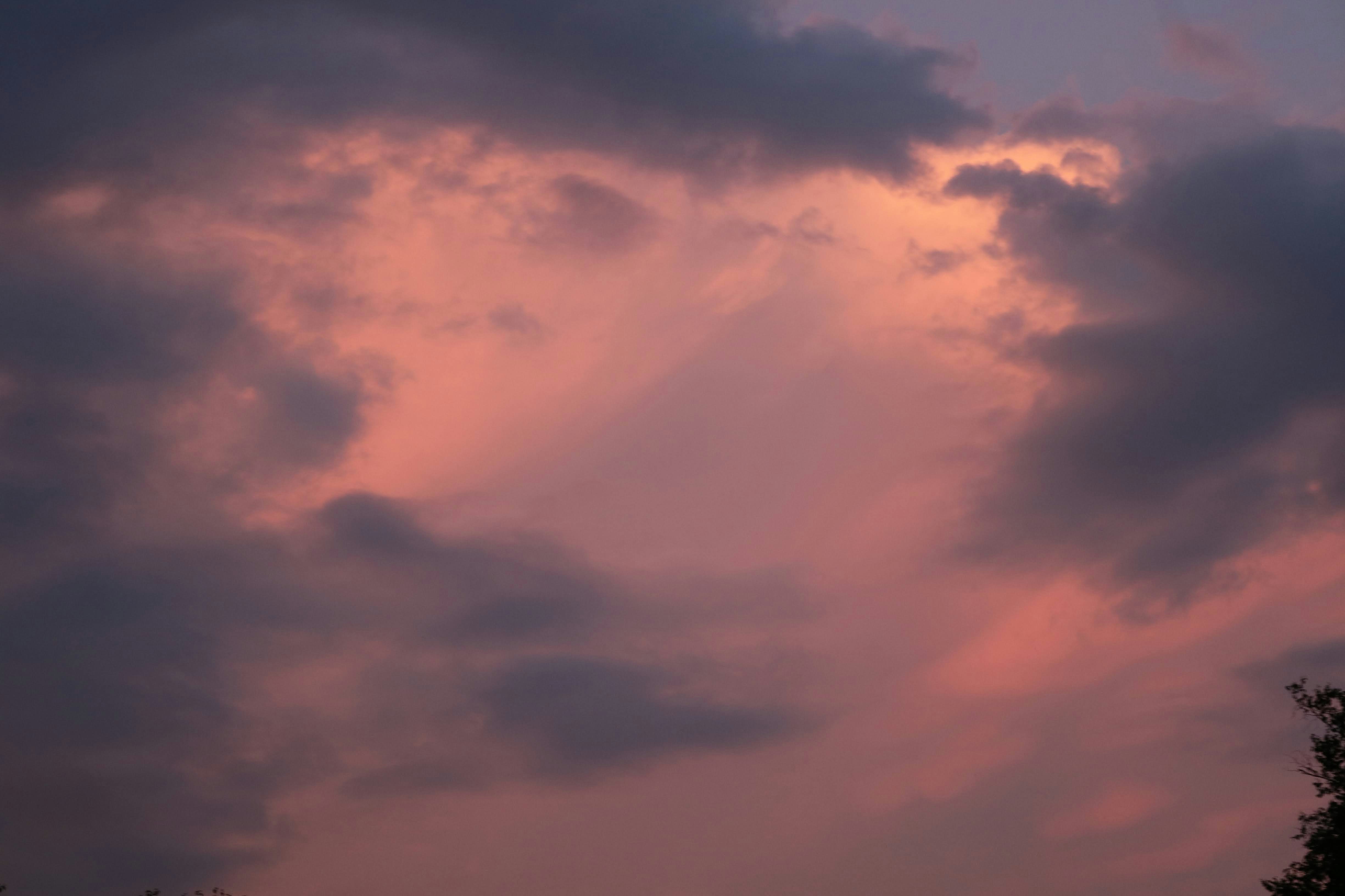 Ir para o perfil de Eve Lazarski