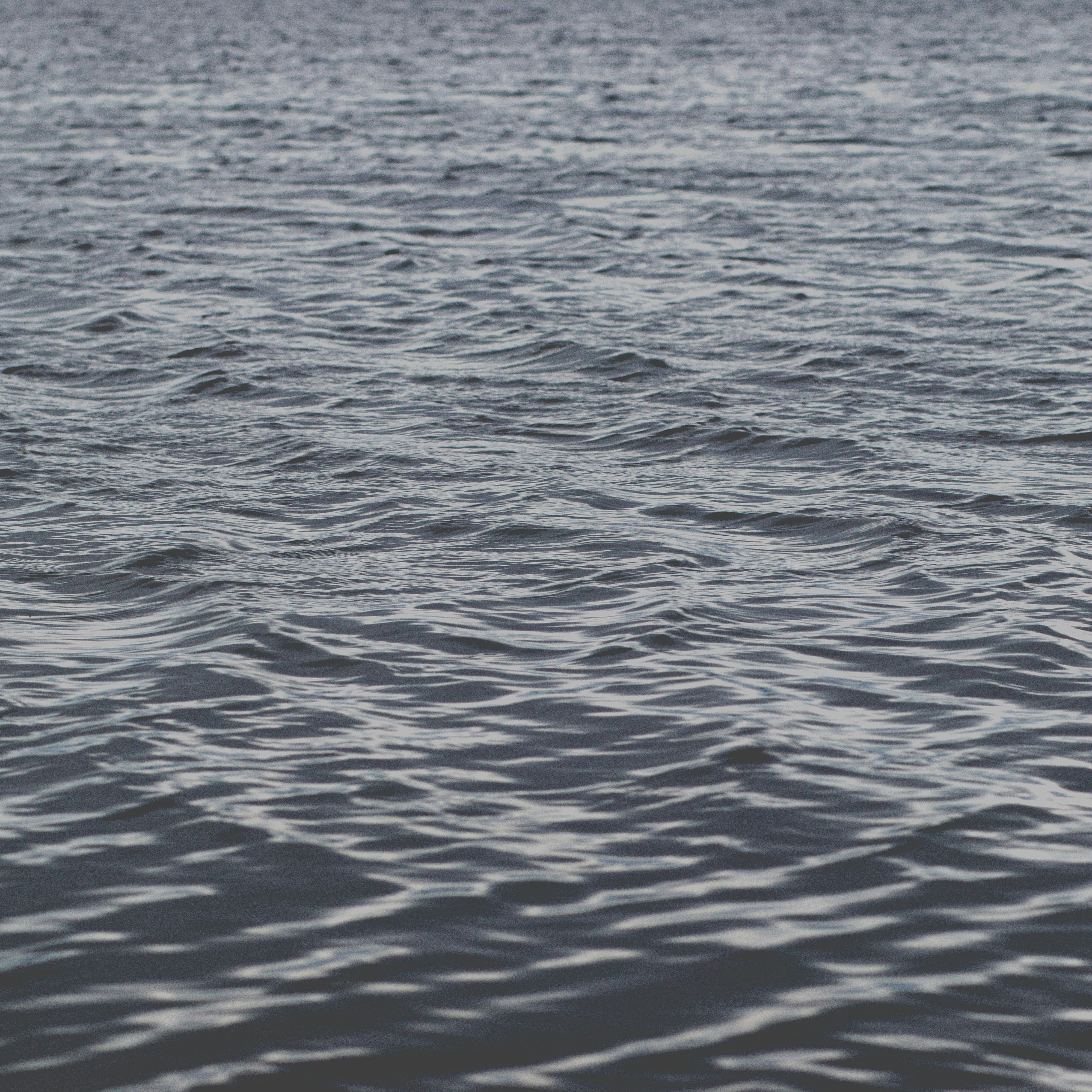 Go to Kacper Chrzanowski's profile