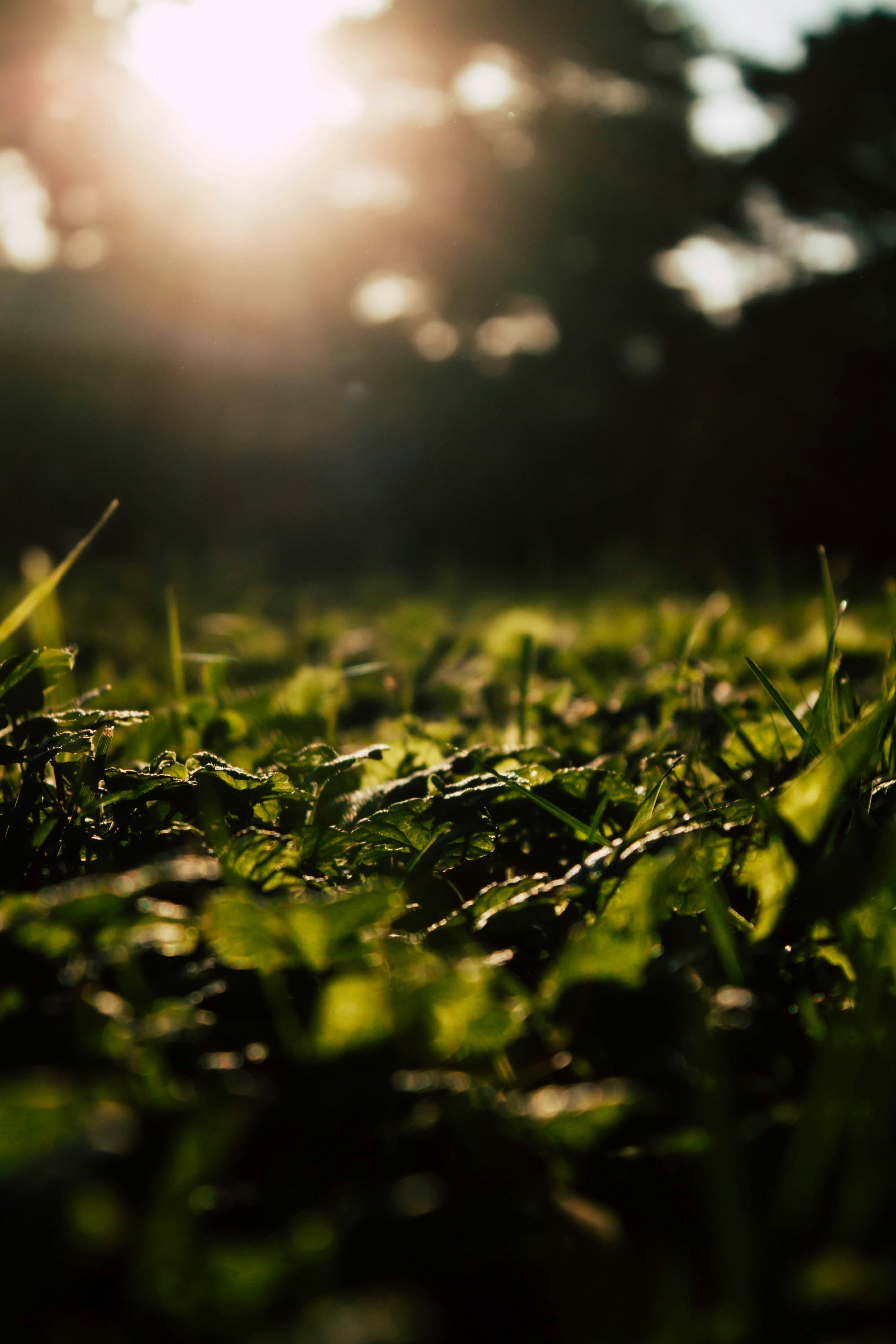 Vai al profilo di Michael Marsh