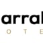 Avatar of user marrakesh hotels