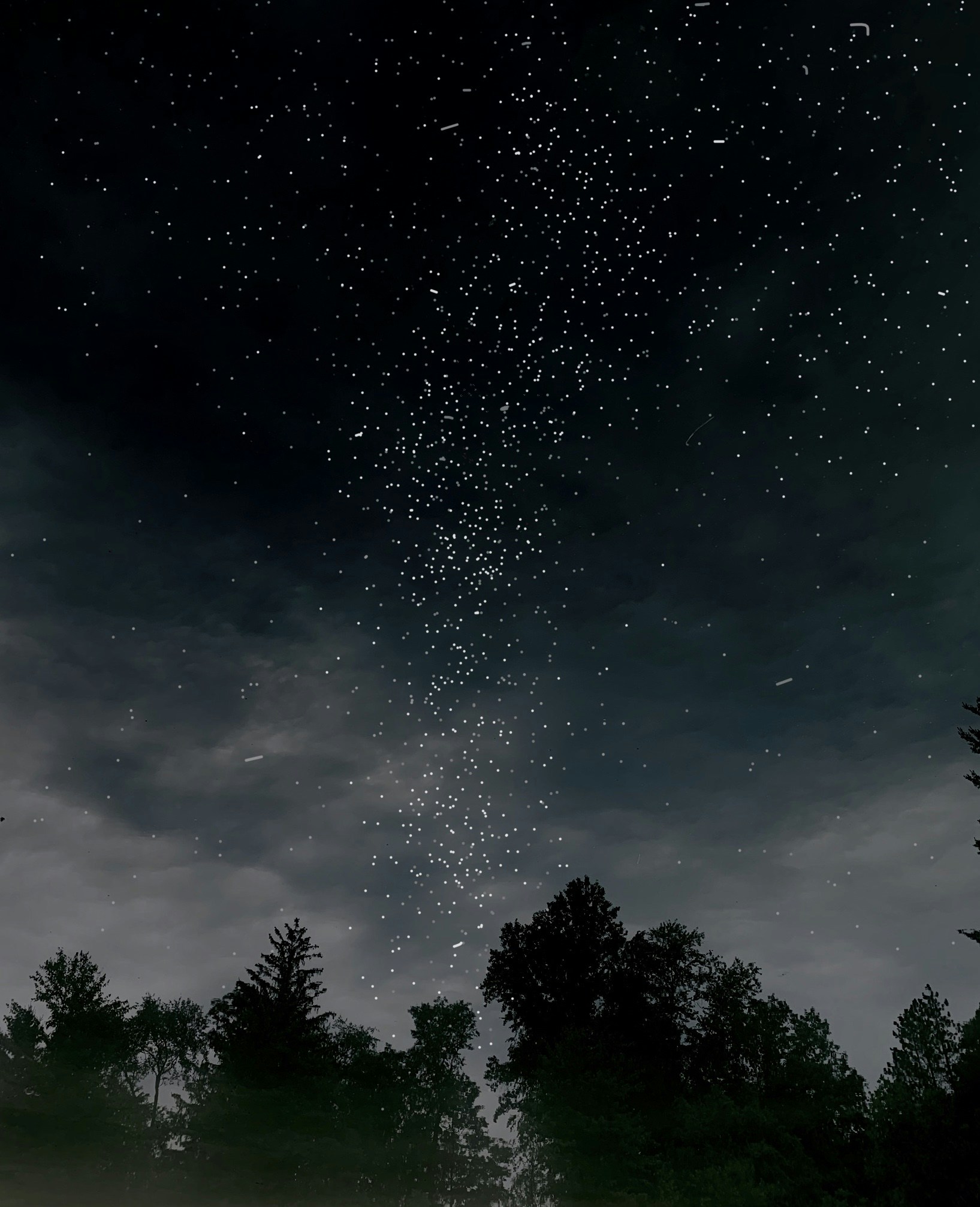 Go to Sophia Kunkel's profile