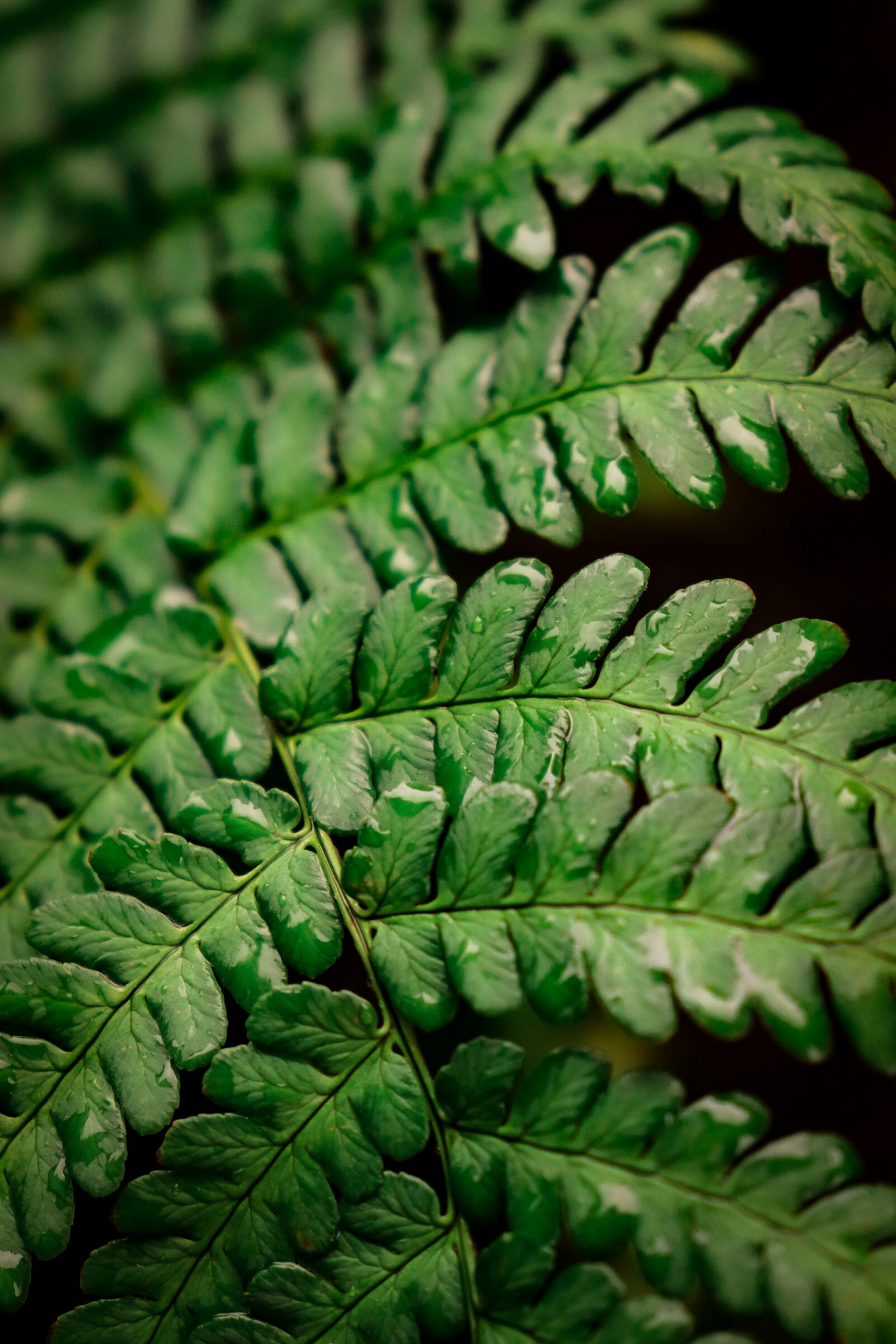 Go to Heather's profile