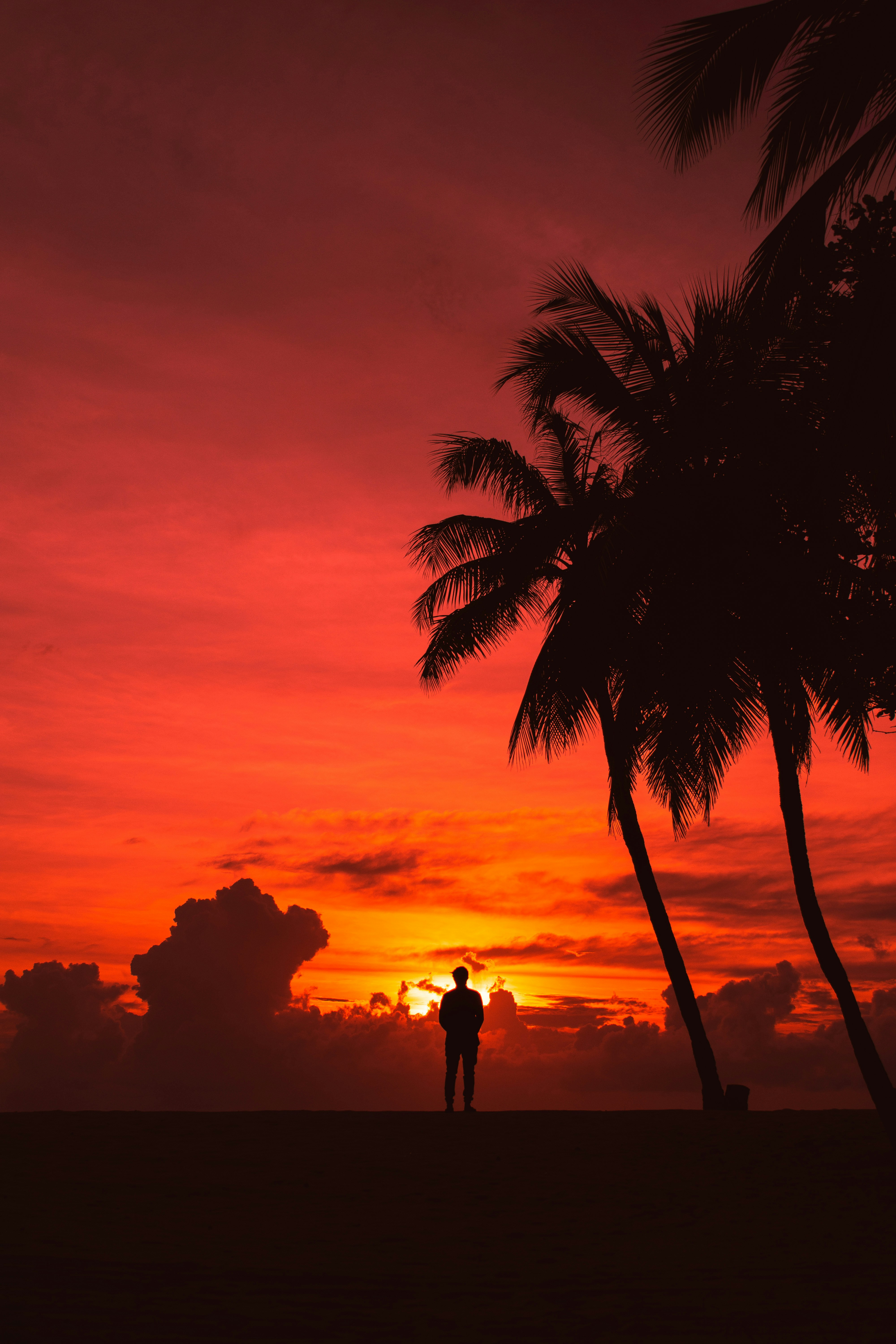 Avatar of user Mohamed shamil