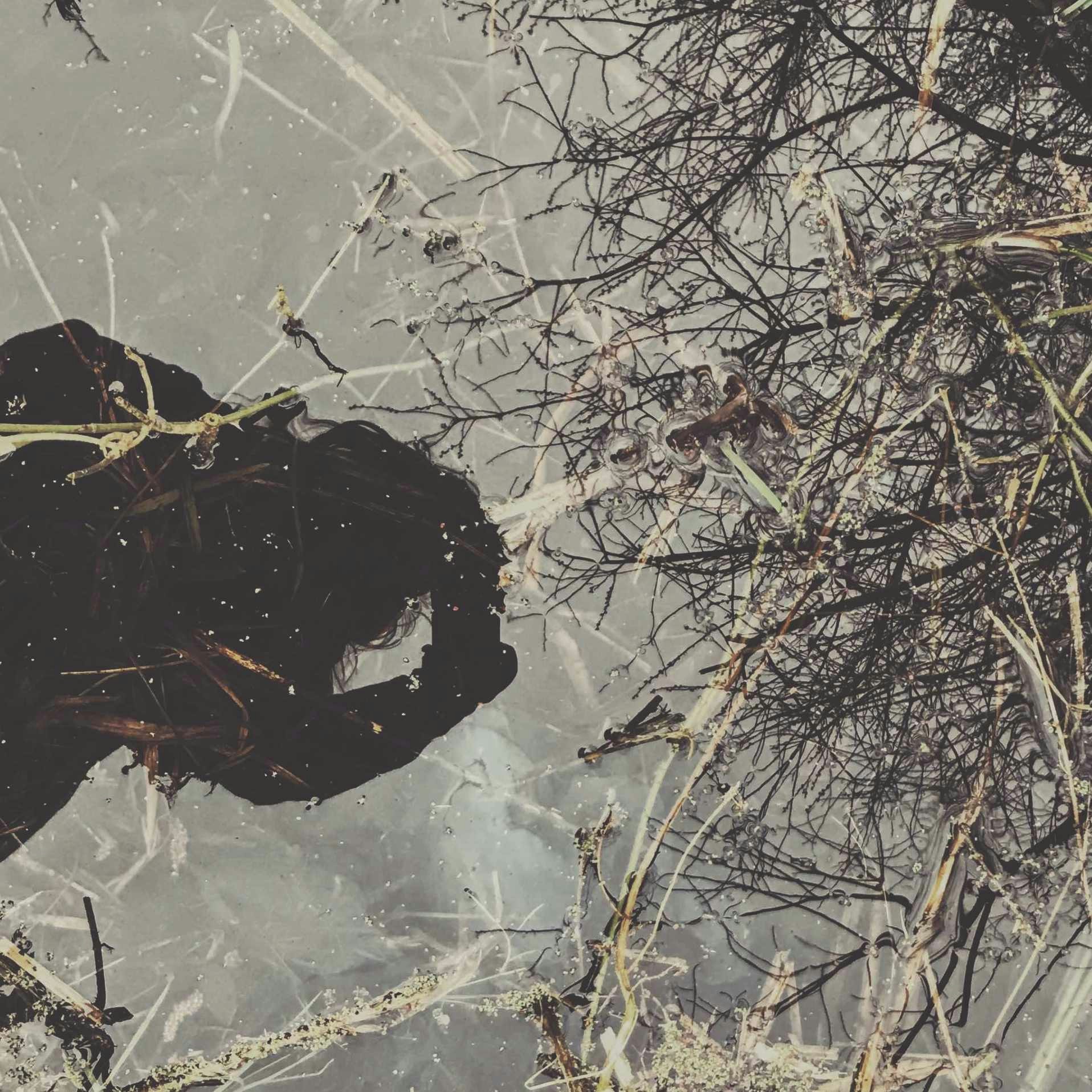 Zum Profil von Amy W