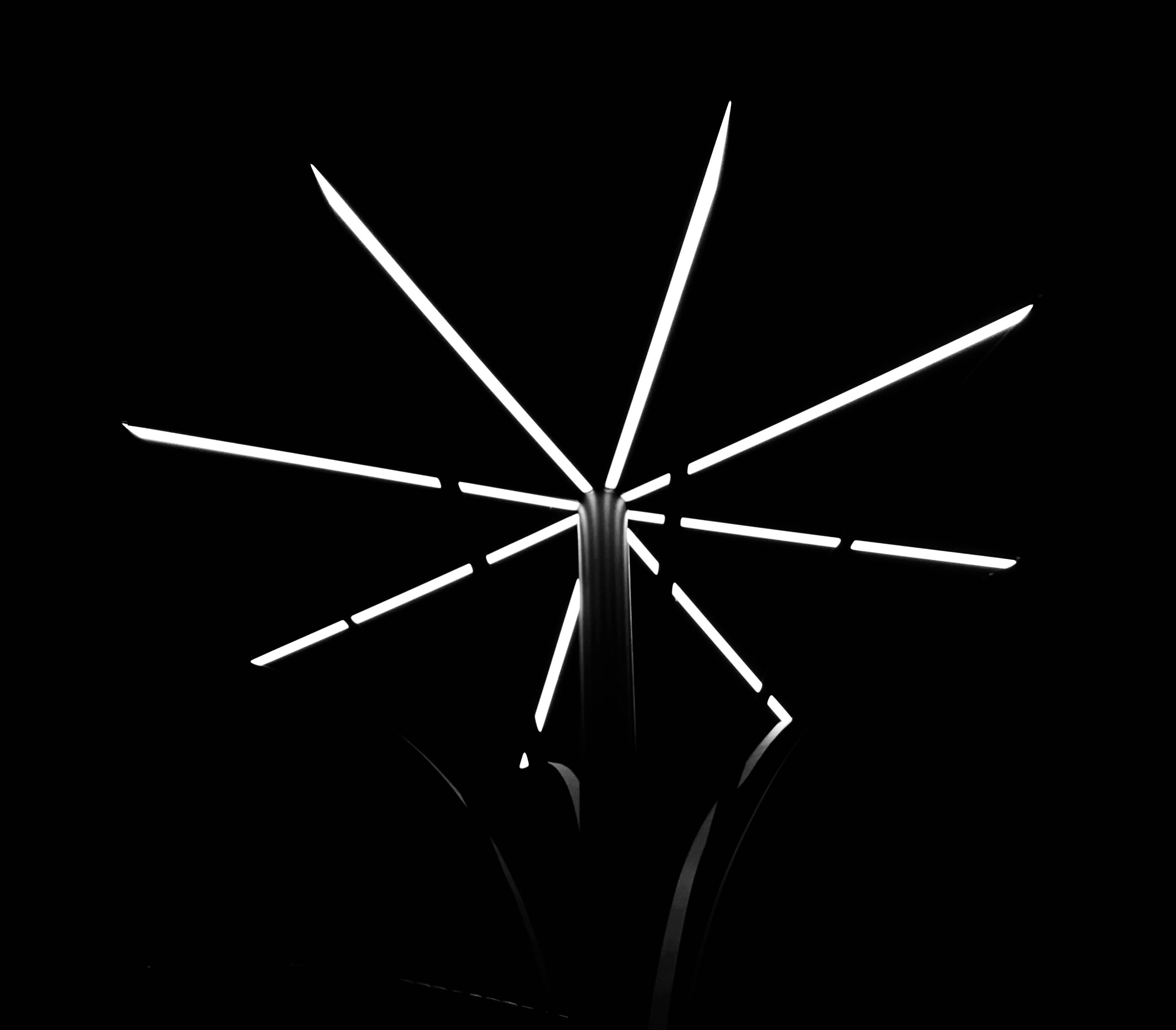 Go to Henil Kajavadra's profile