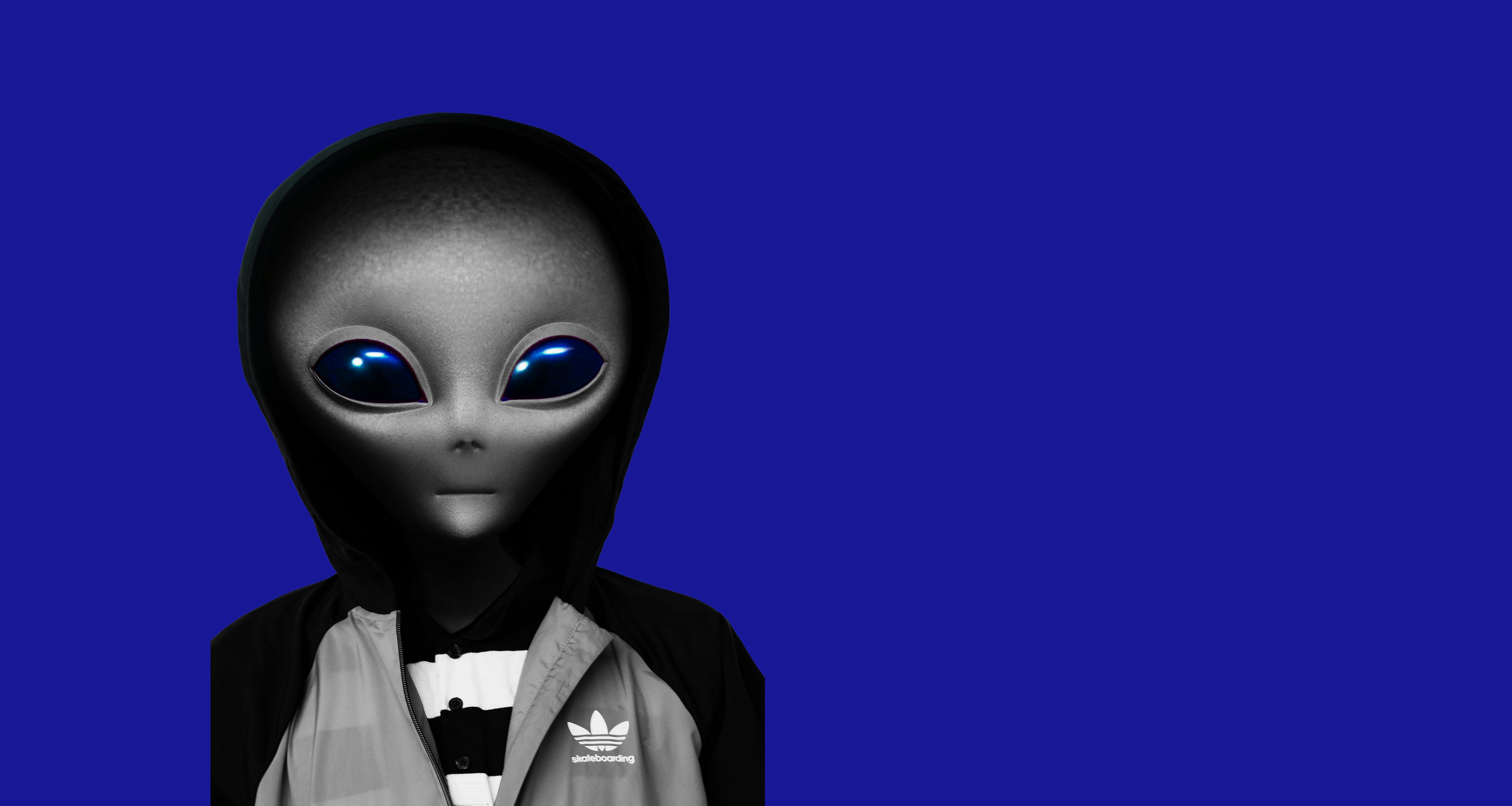 Ir para o perfil de Baijia Dai