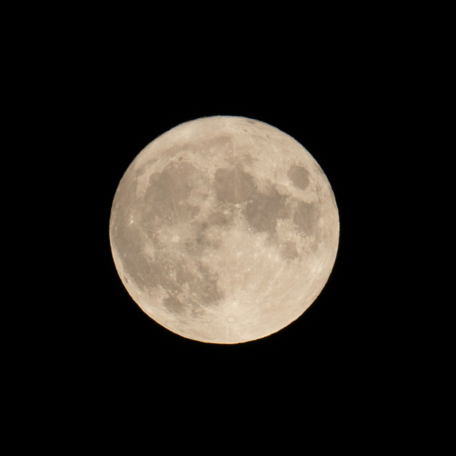 Go to Lucas Parker's profile