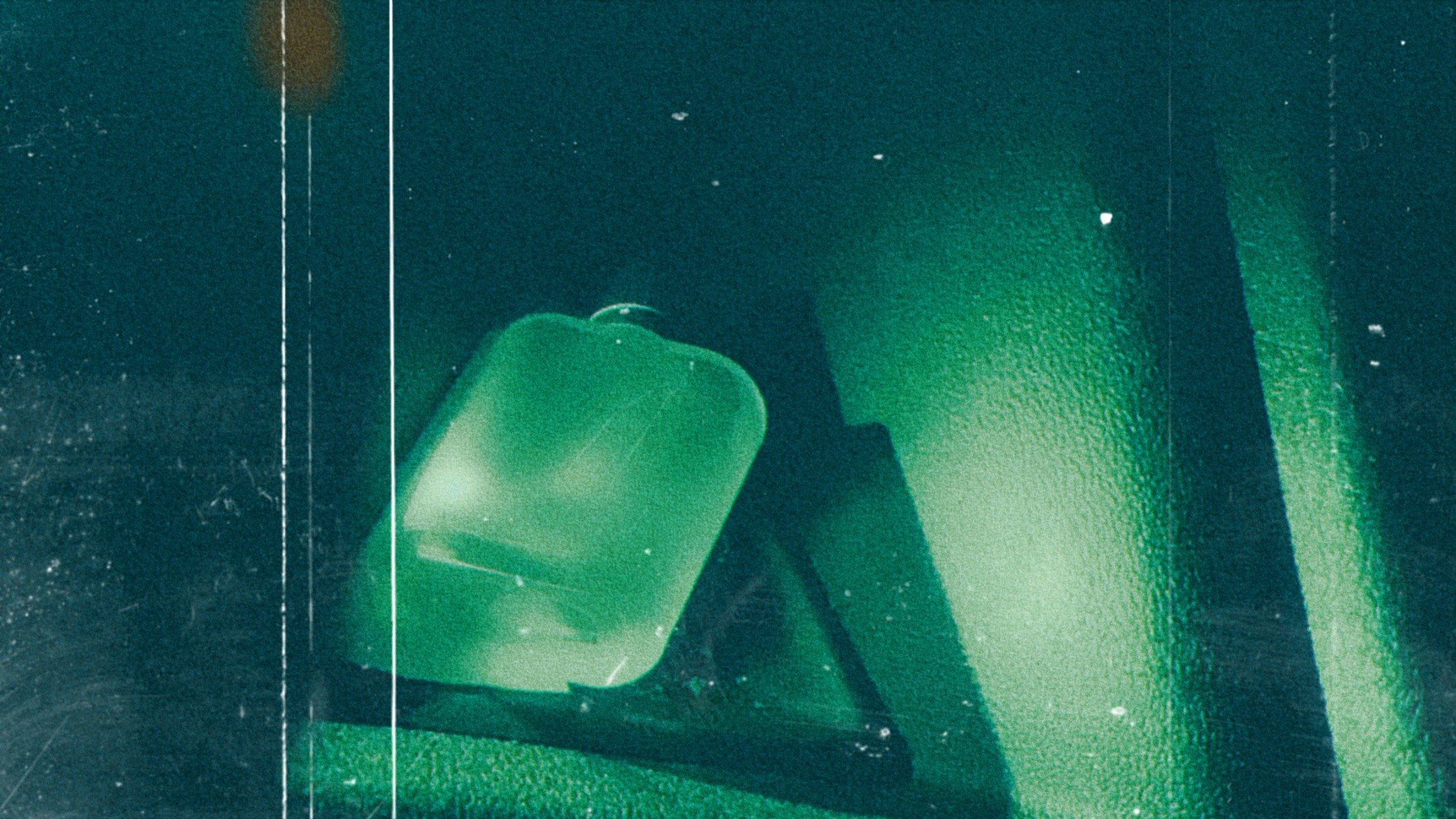 Zum Profil von nick jenkins