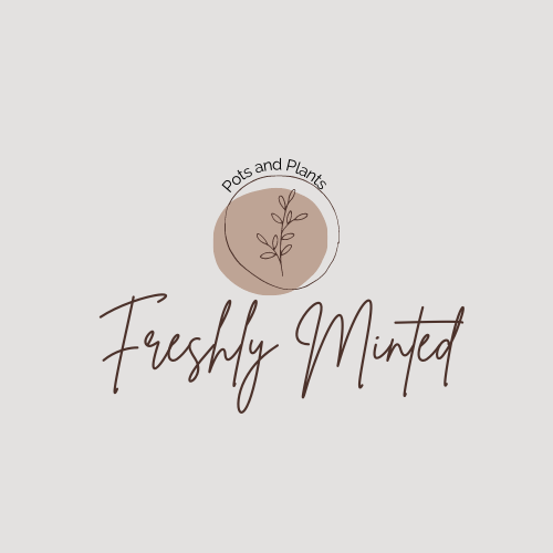 Accéder au profil de Smrithi Rao