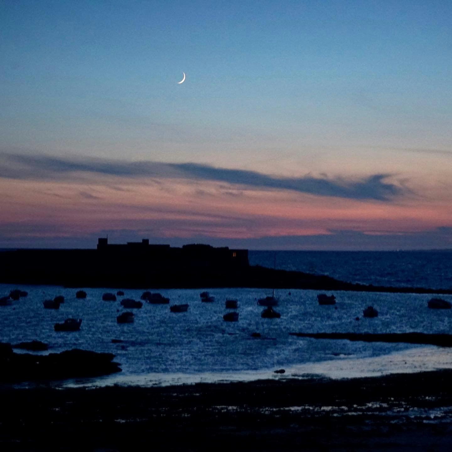 Go to Guillaume de l'Estourbeillon's profile