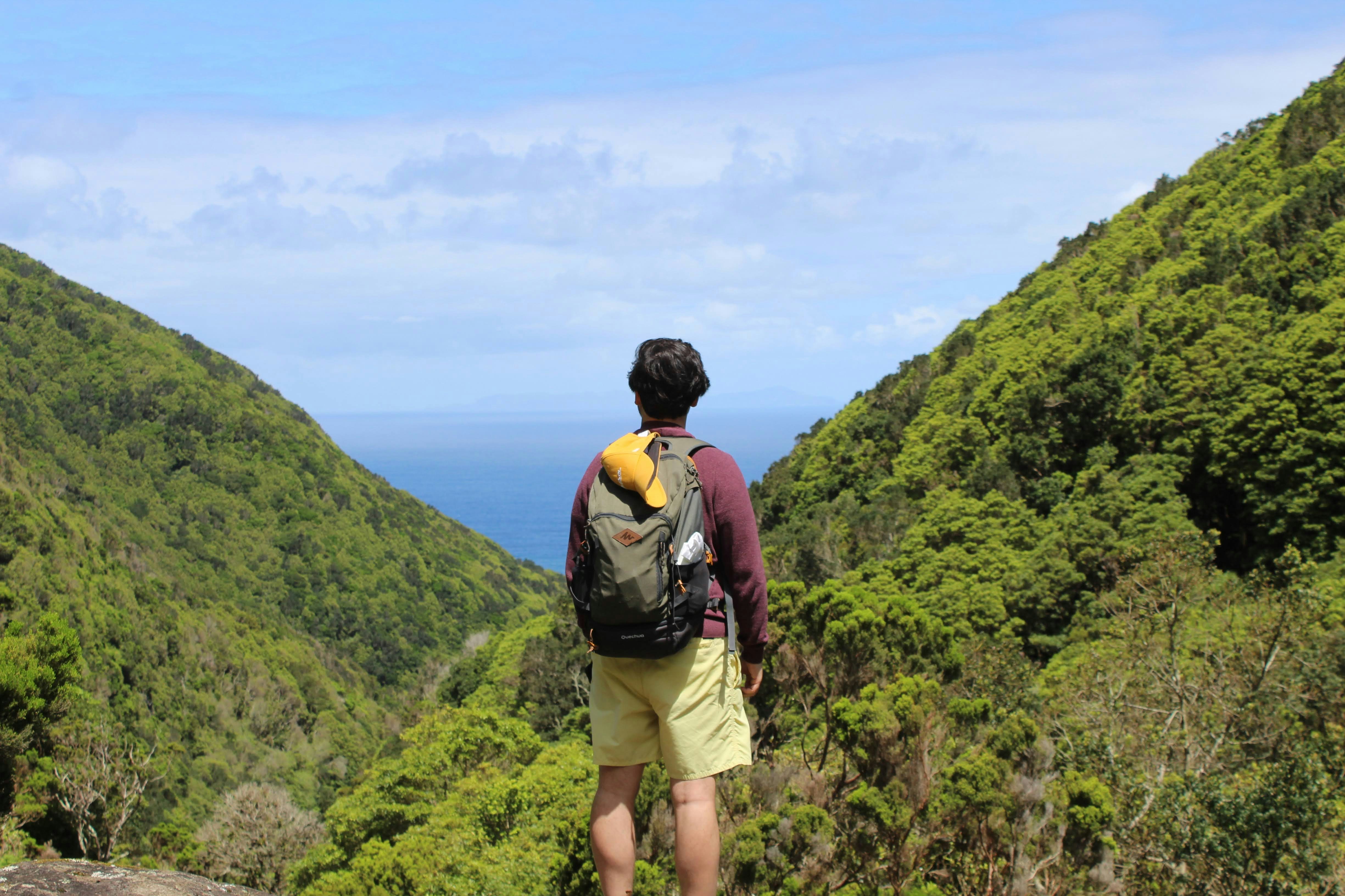 Zum Profil von António Palha