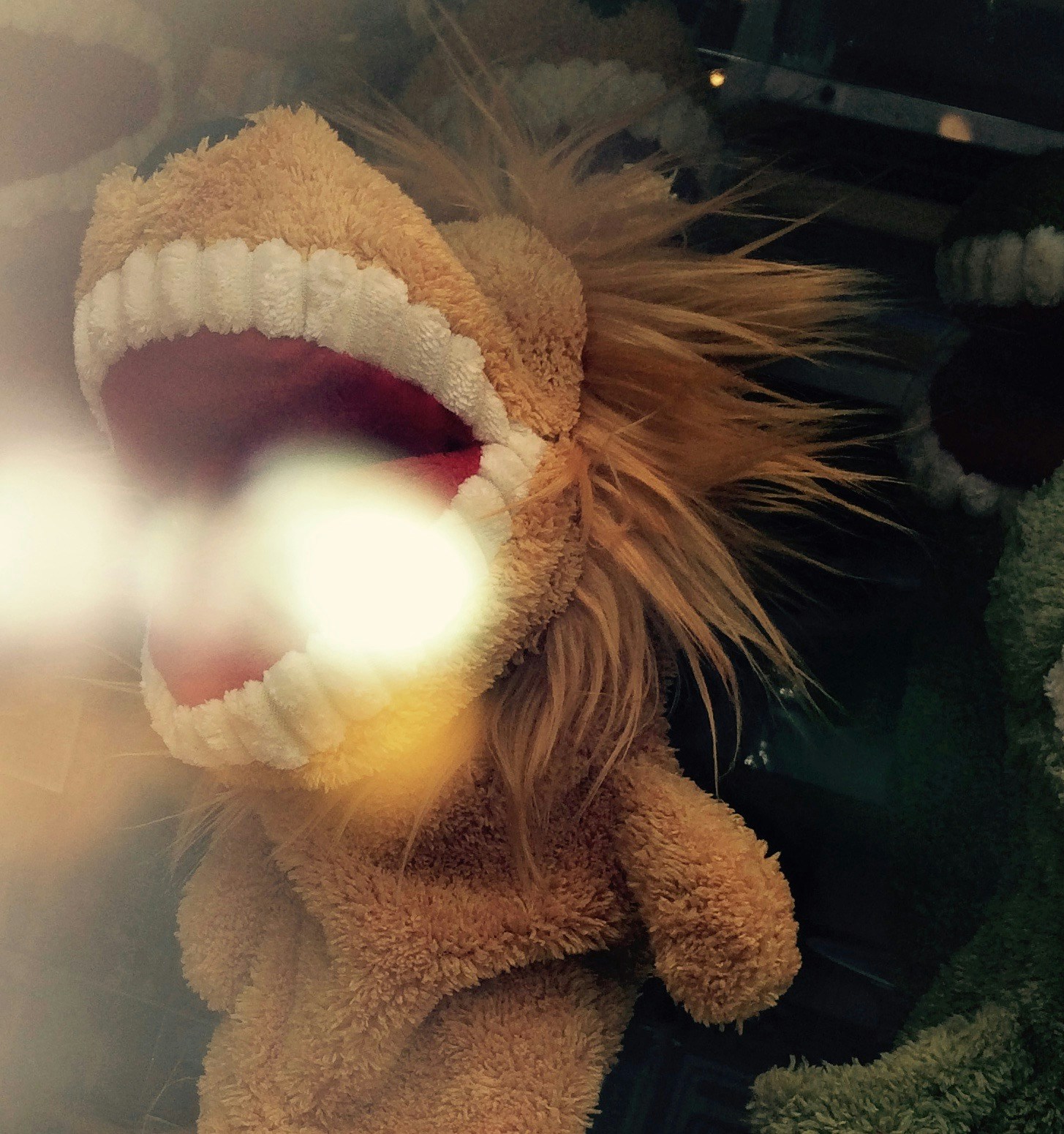 Accéder au profil de Stuart Timms