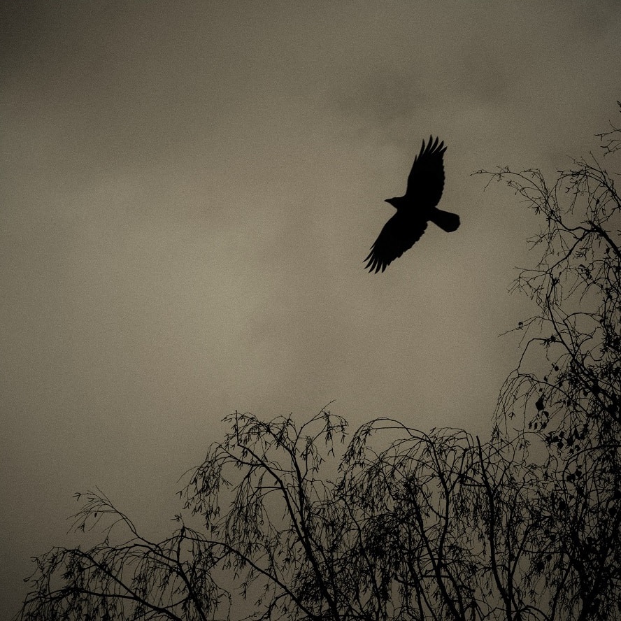 Immage Christian Keybets