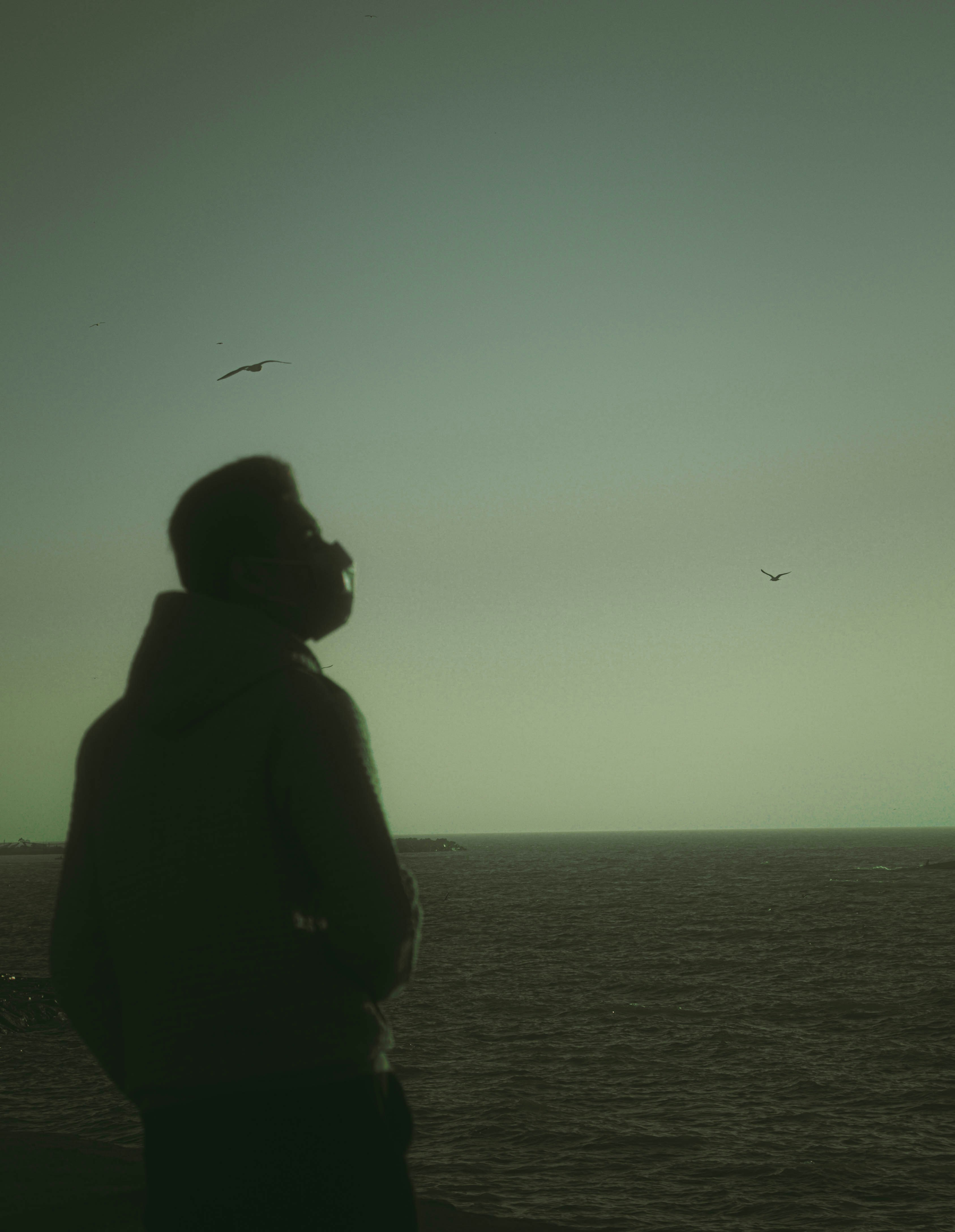 Ve al perfil de Amin Yarban