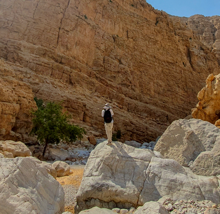 Avatar of user SHUXIN WU