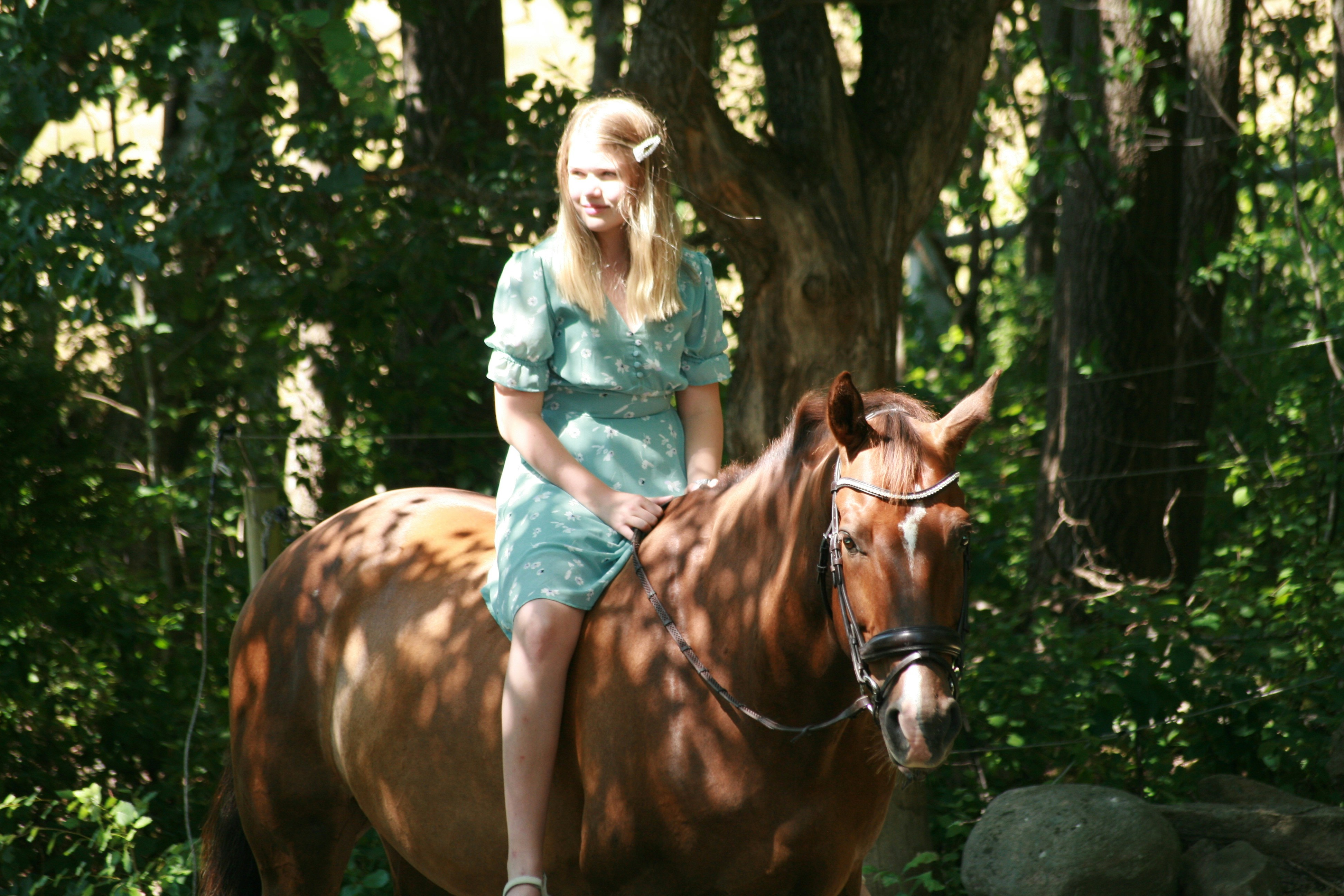 Go to Emilia Willberg's profile