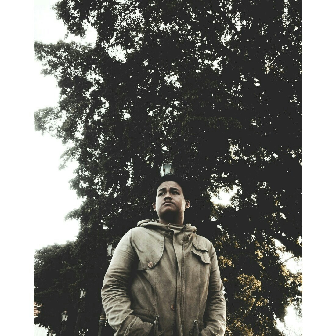 Accéder au profil de jundy ardy