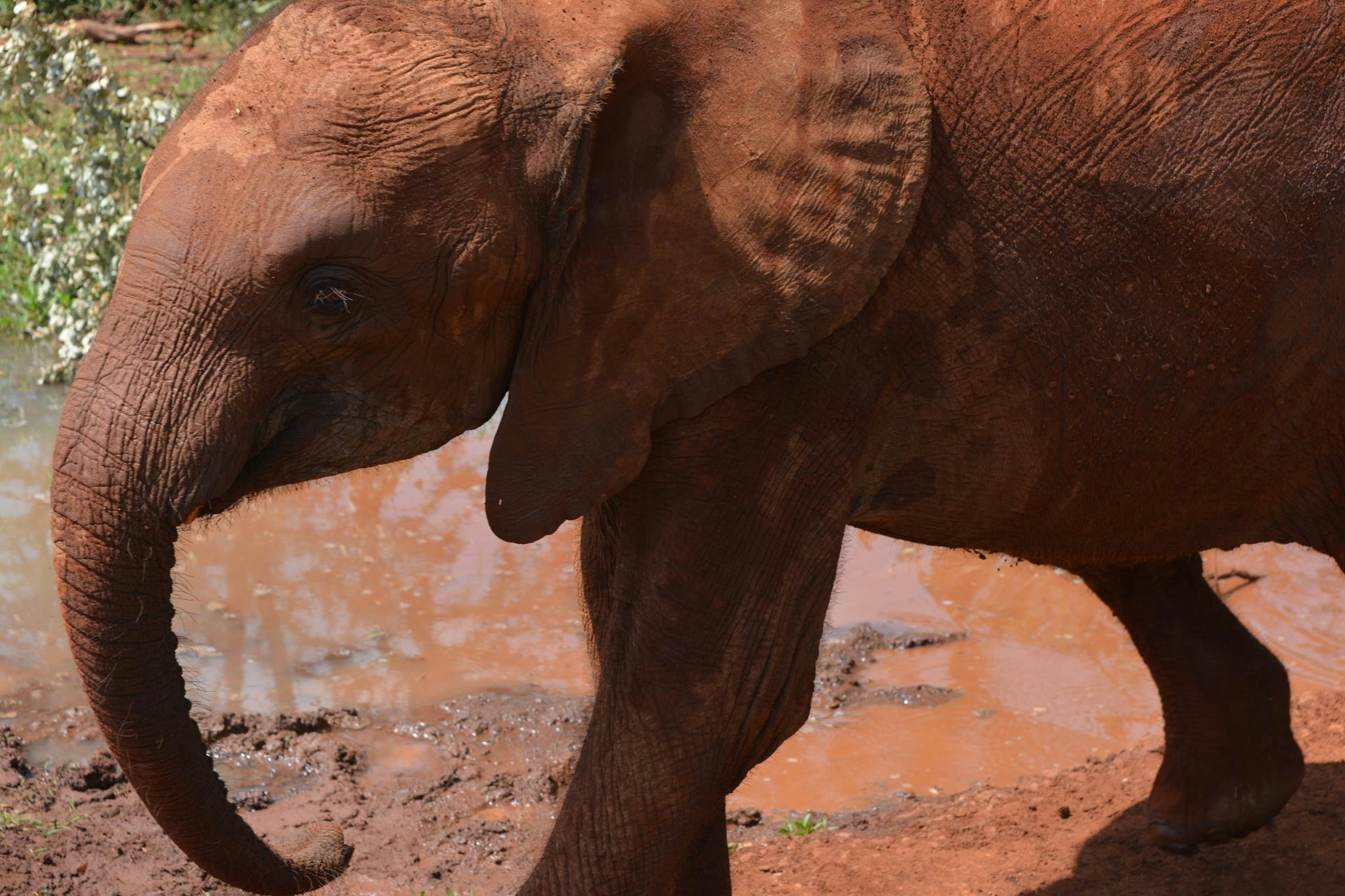 Go to Moise M's profile