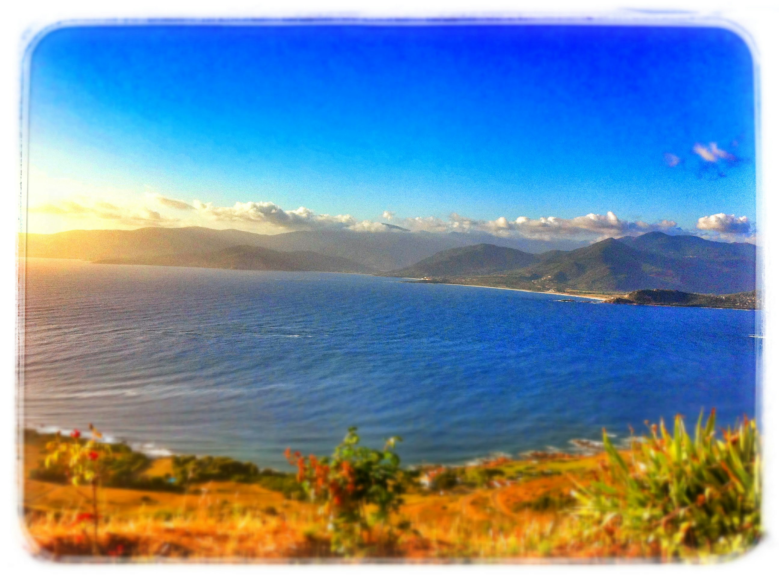 Go to ALEXIS683's profile