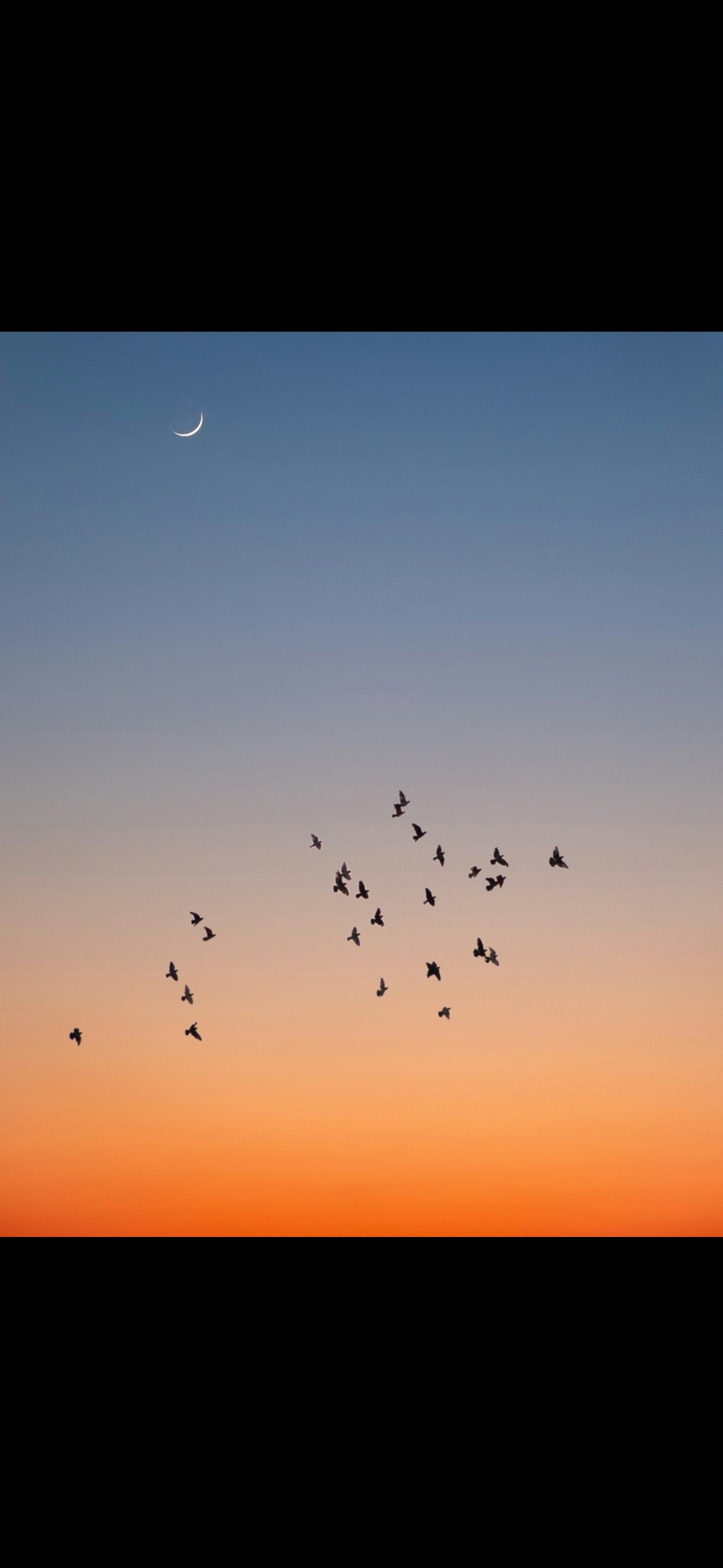 Go to Dorian D1's profile