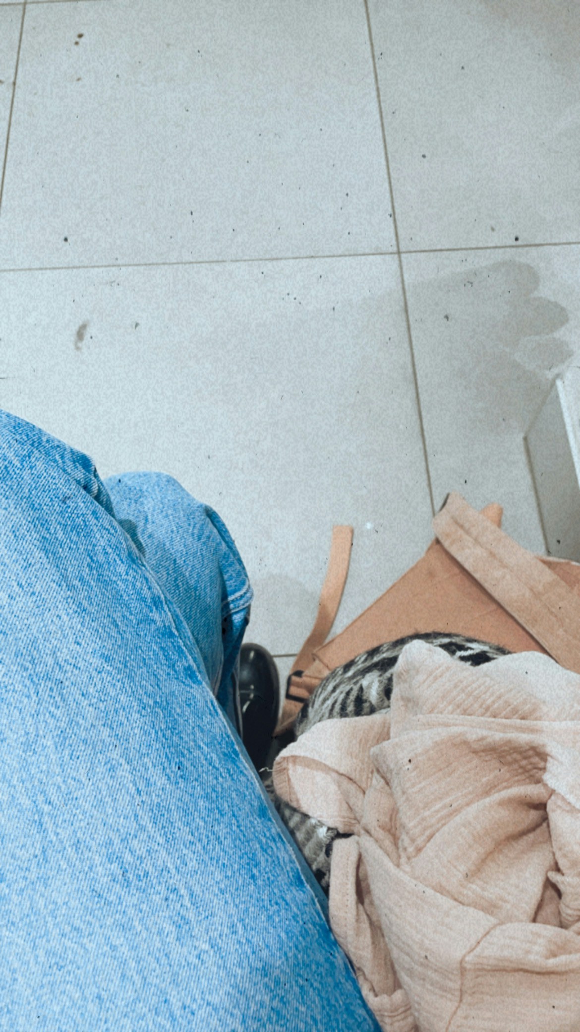 Go to Canne's profile