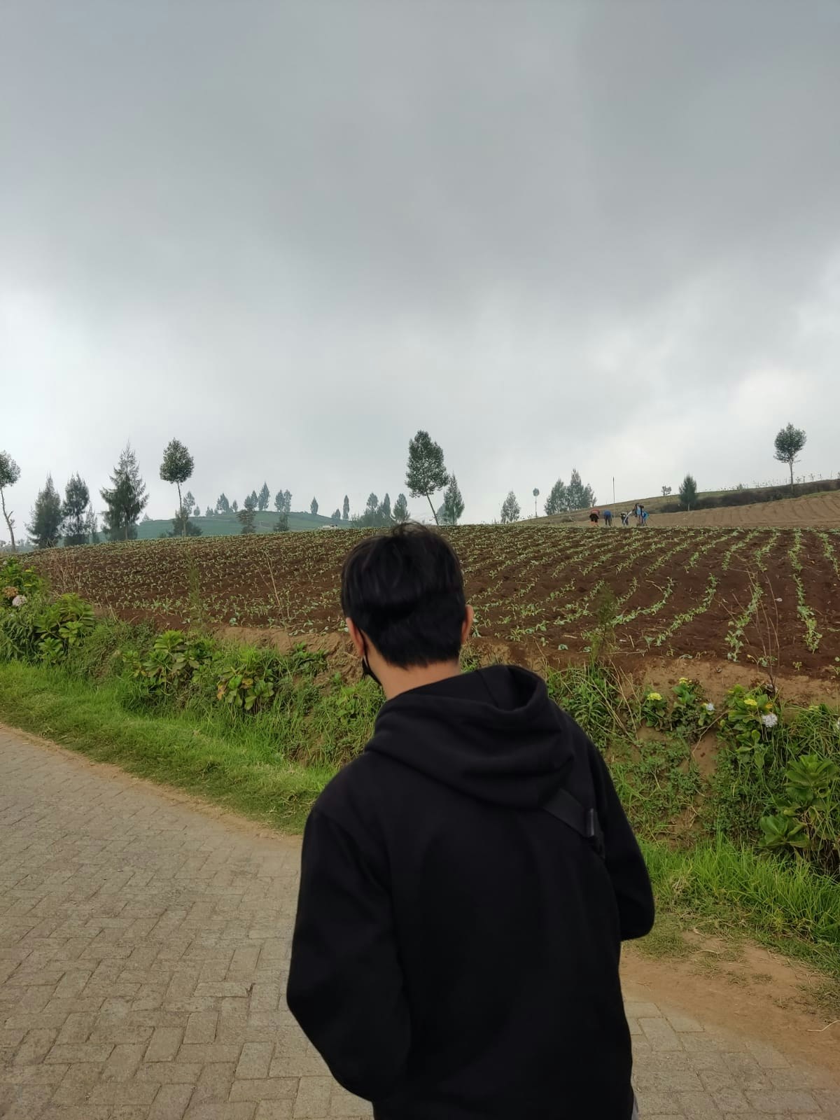 Go to Julian Libastirani's profile