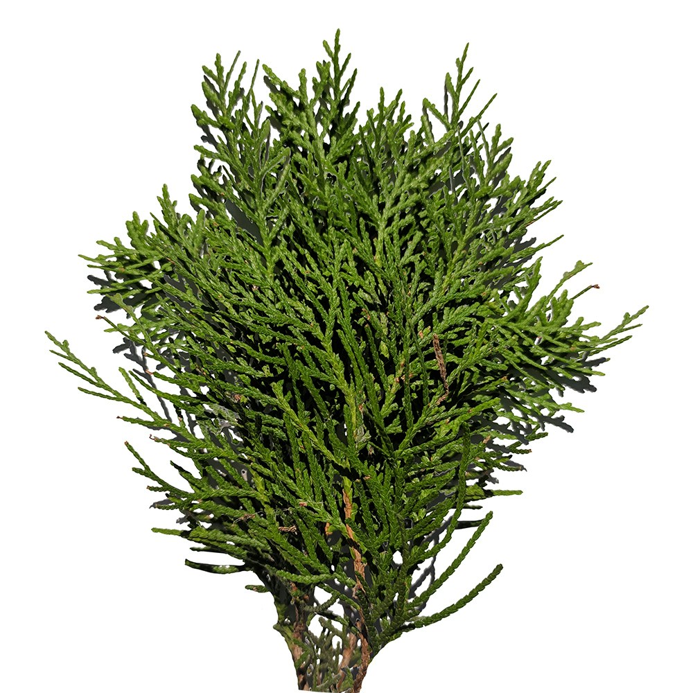 Go to culturetrip's profile