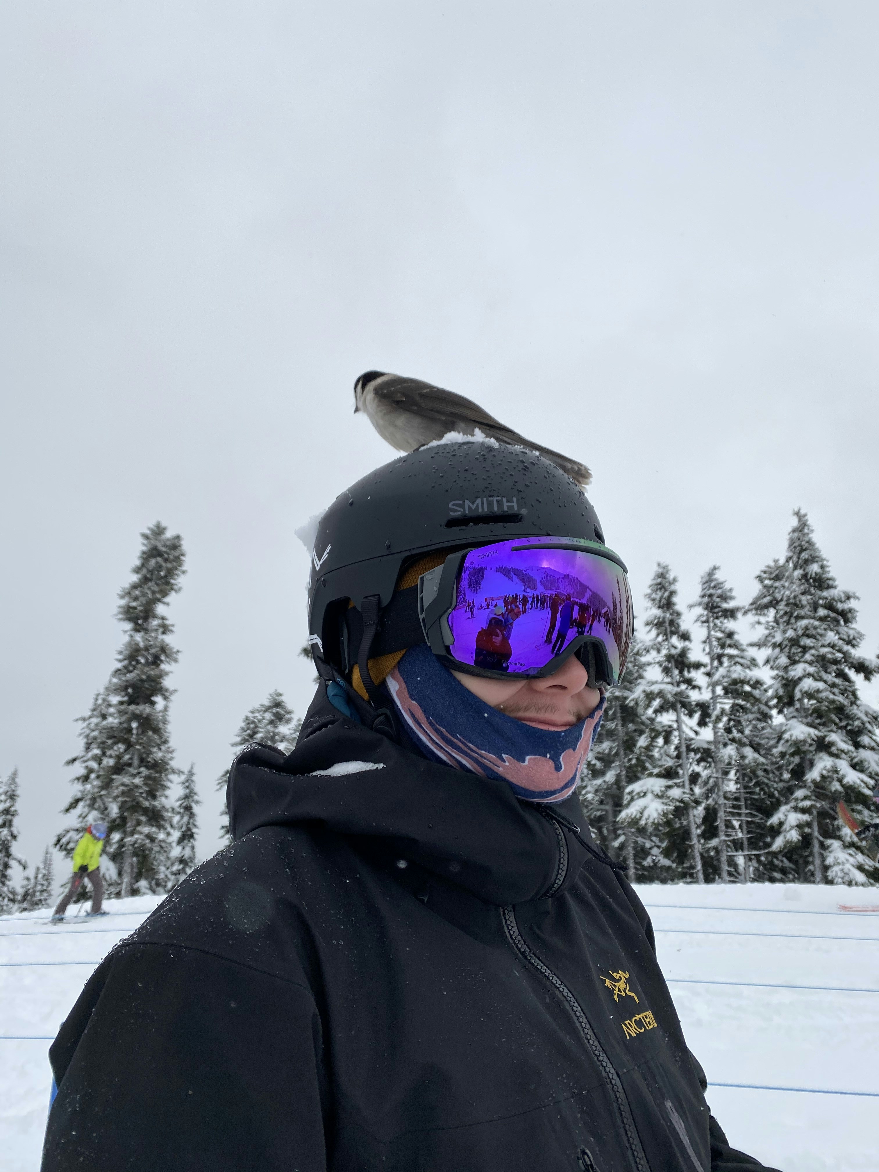 Go to Justin McCloskey's profile