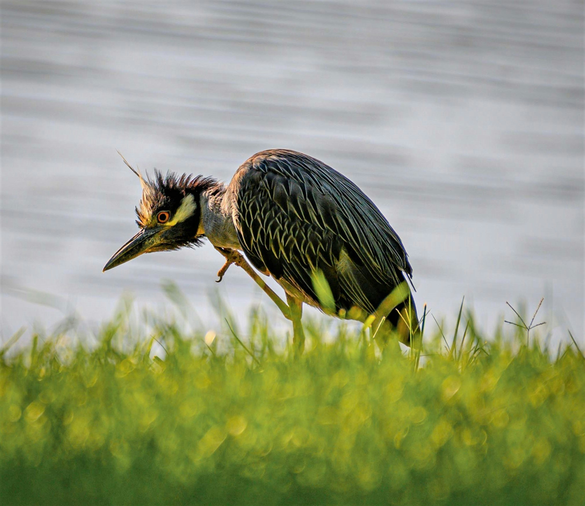 Vai al profilo di Scott Major