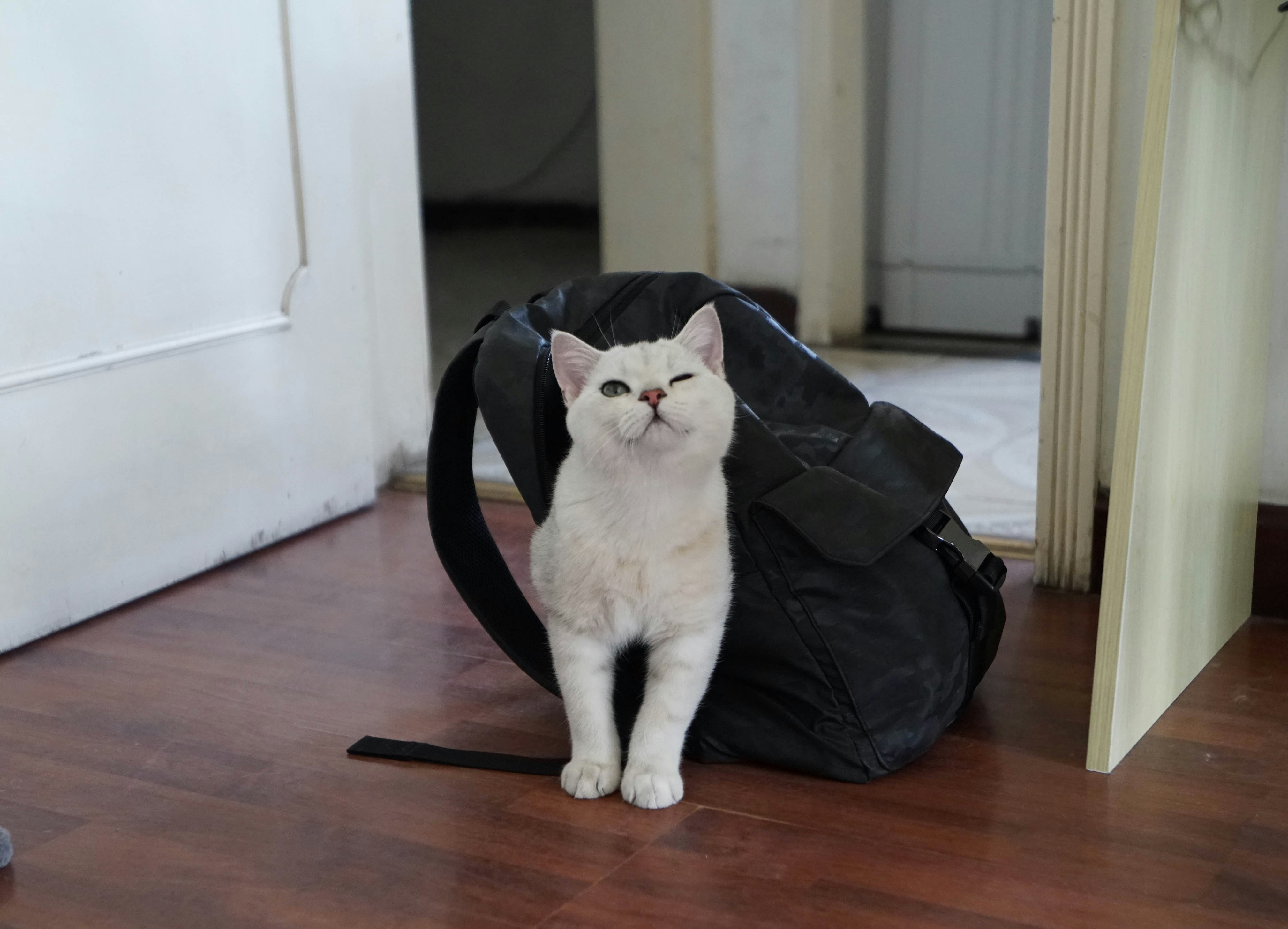 Go to Bobby Wang's profile