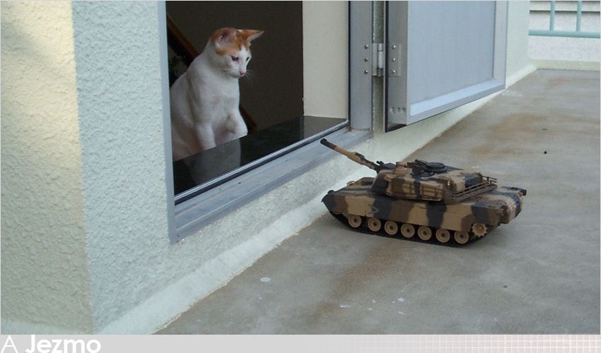 Go to jezmo's profile