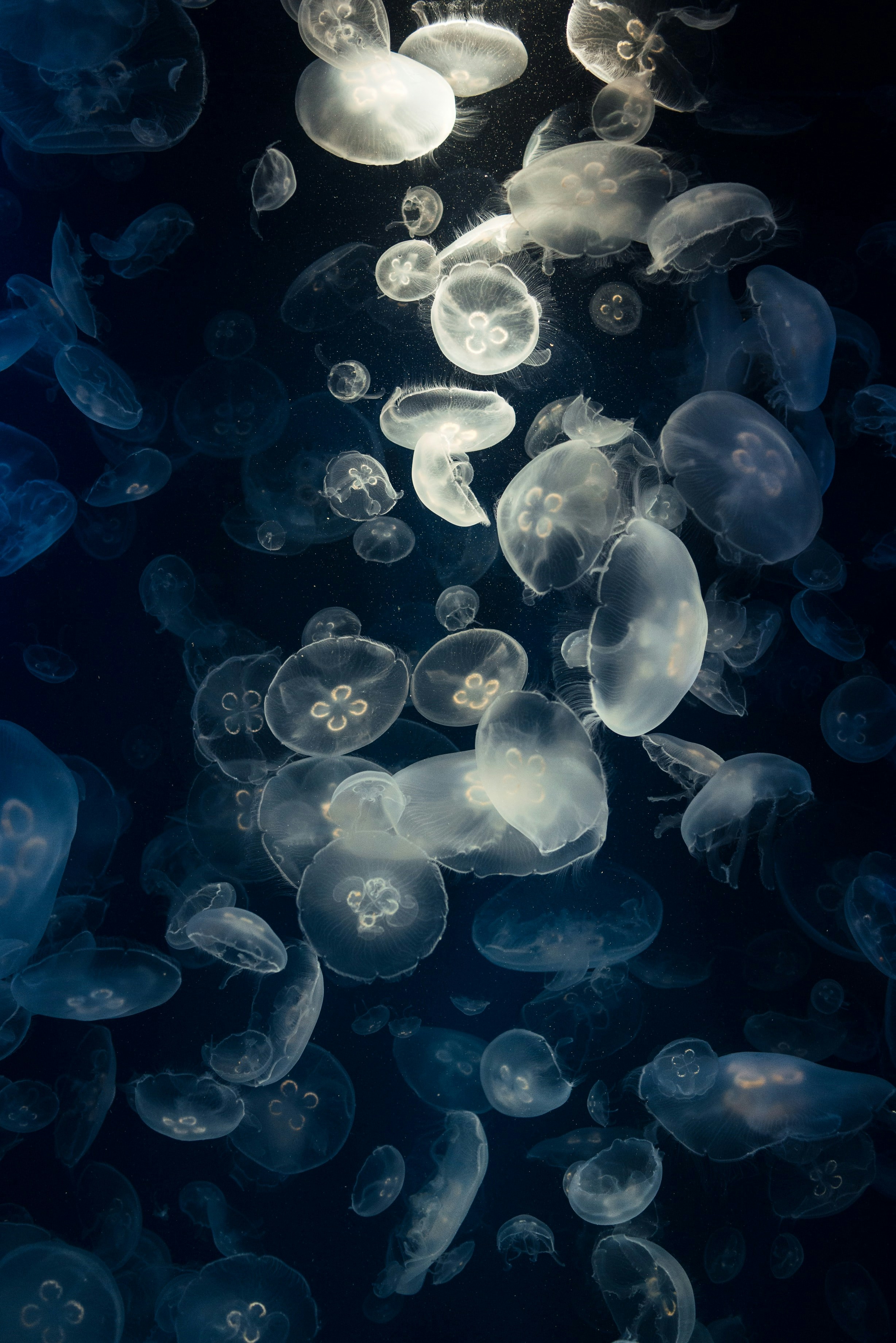 Go to Daniel's profile