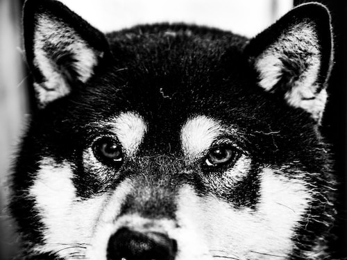 Go to katsuma tanaka's profile