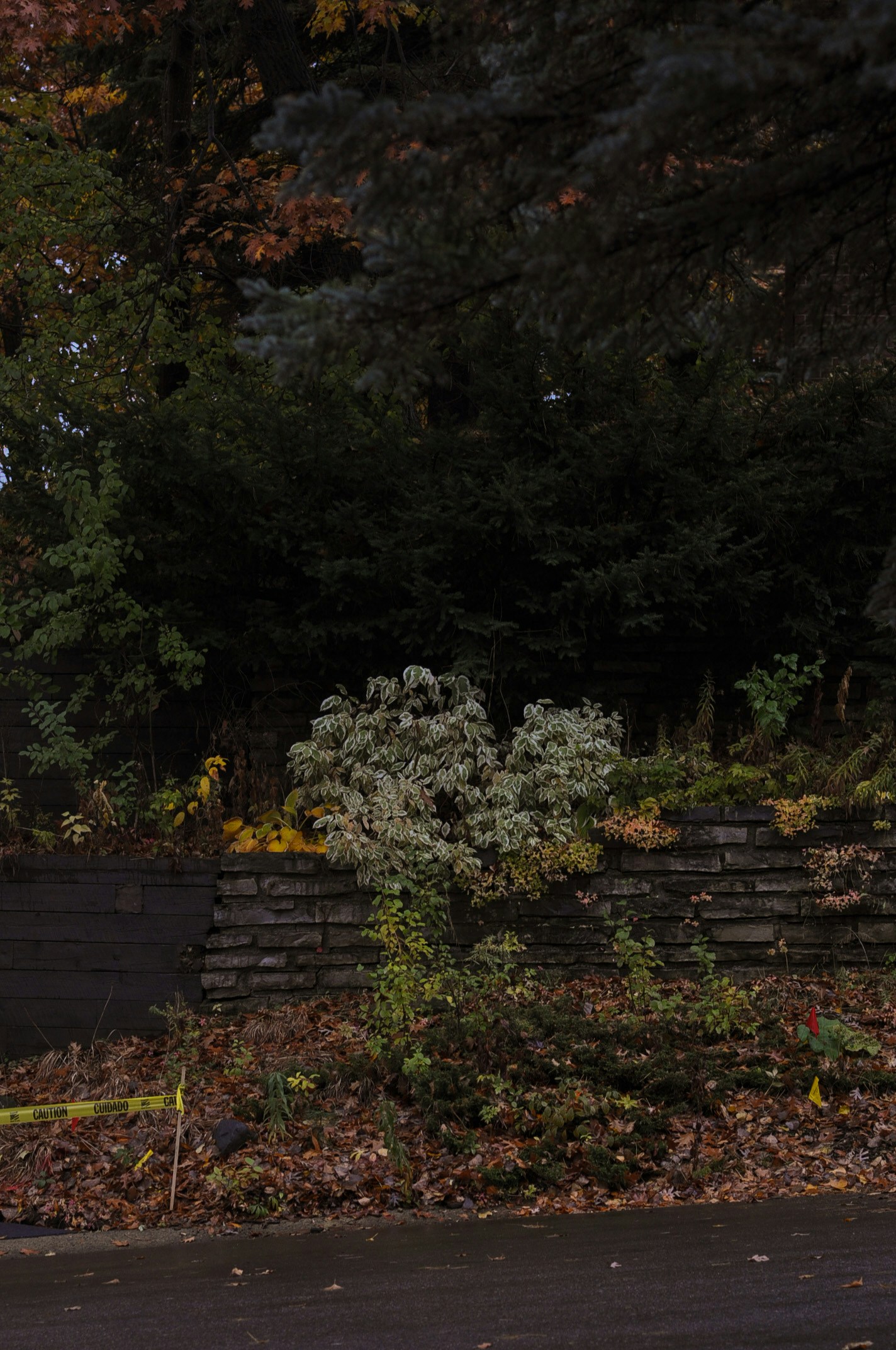 Go to Sarah Hu's profile