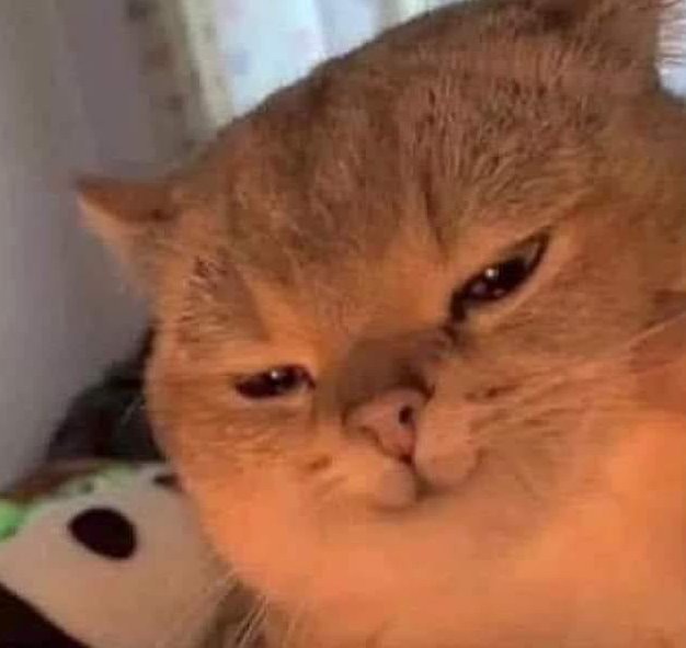 Zum Profil von Julianti