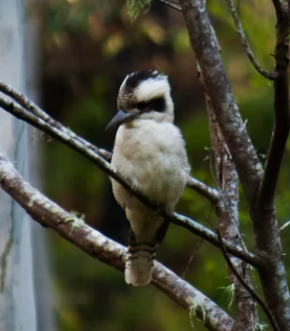 Go to Mike Ash's profile