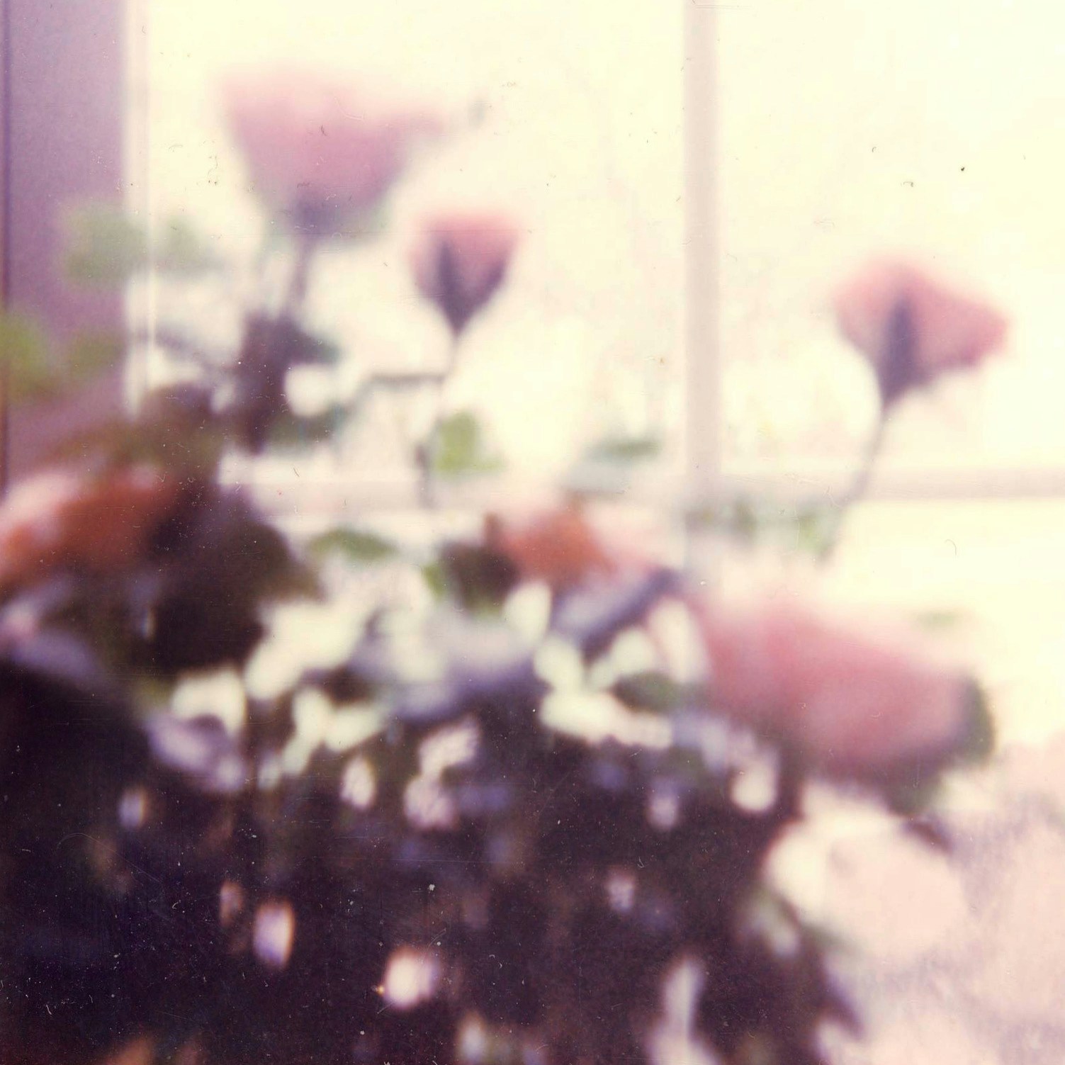 Go to Kelly Moon's profile