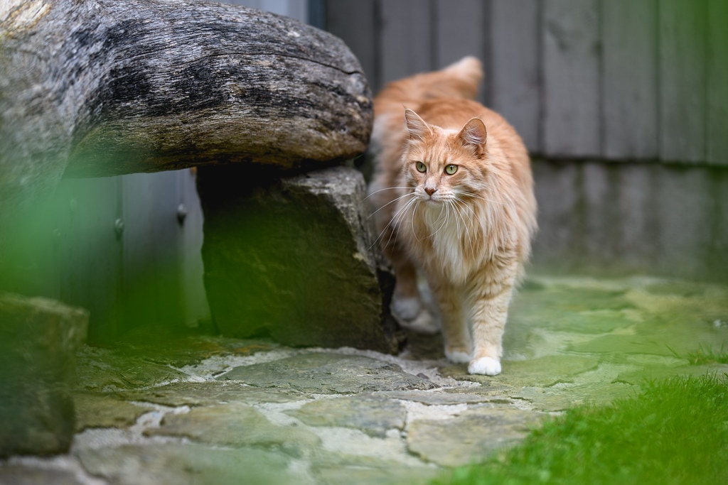 Go to Vytenis Malisauskas's profile