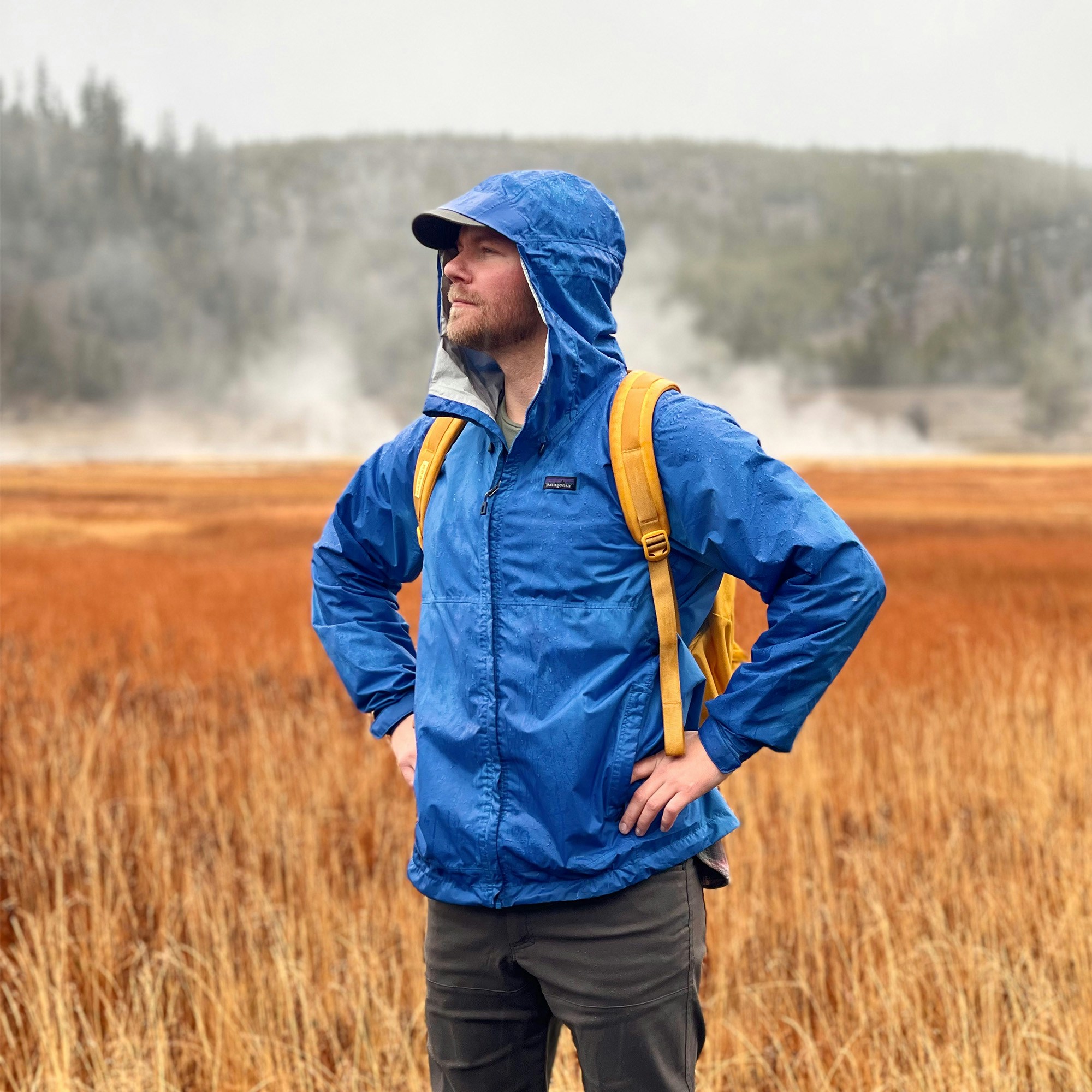 Vai al profilo di George Webster