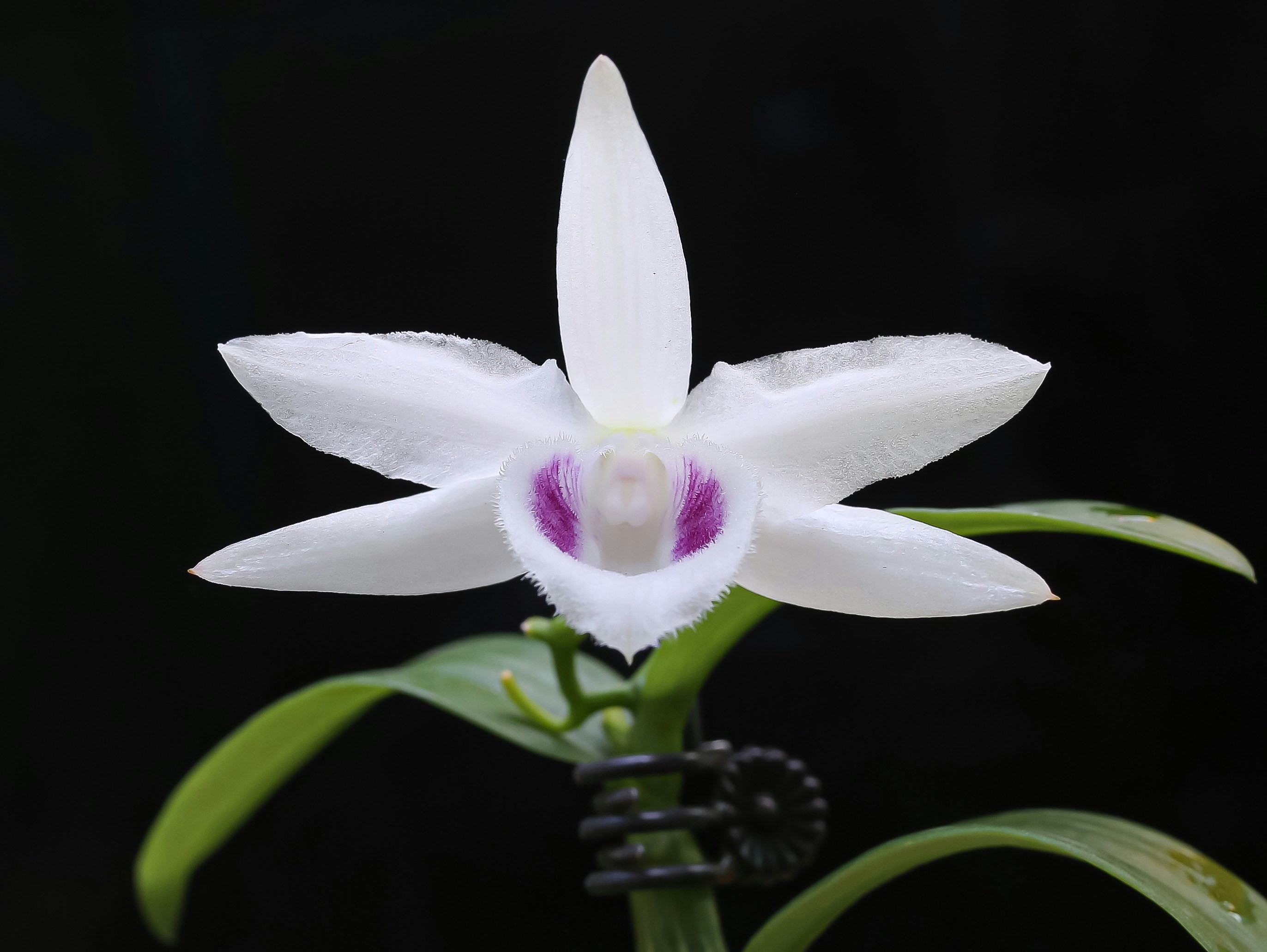 Go to MI PHAM's profile