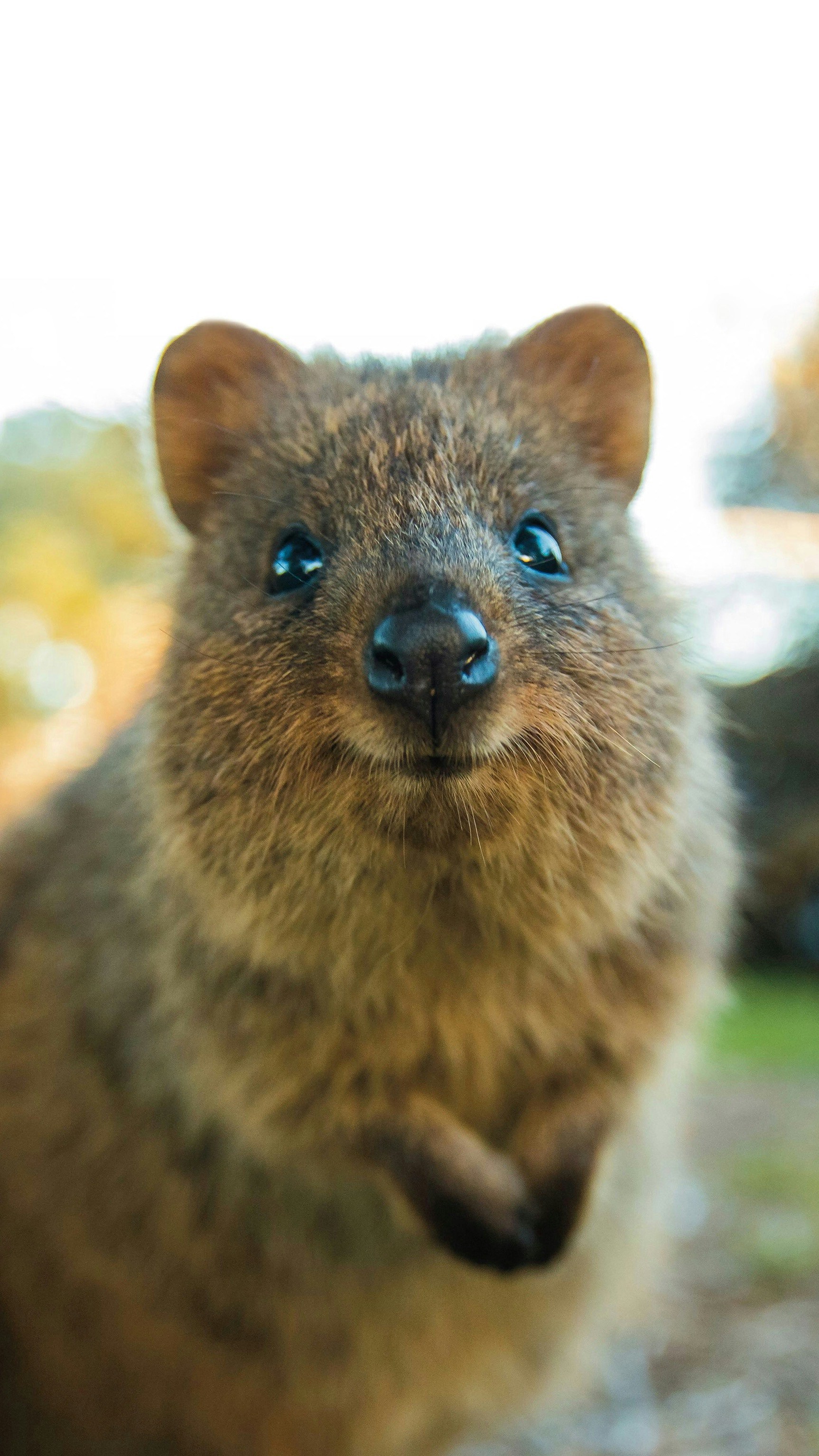 Go to Andrew Trunov's profile