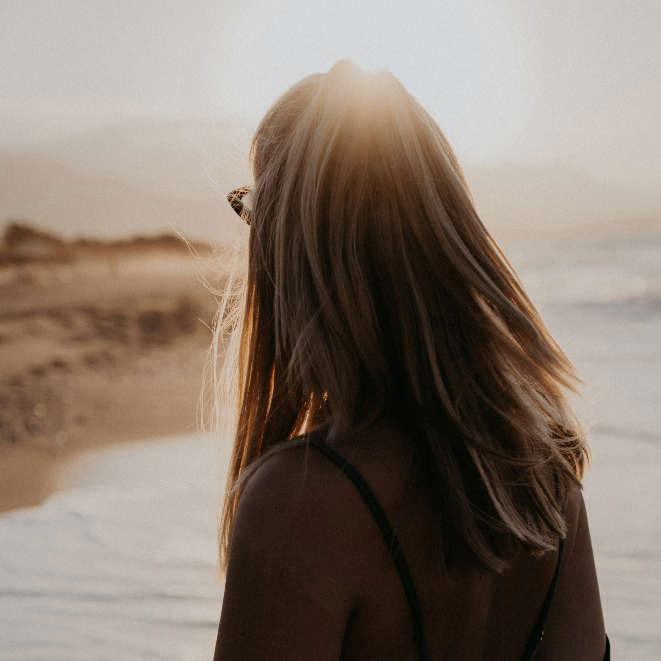 Go to Sarah Thorenz's profile