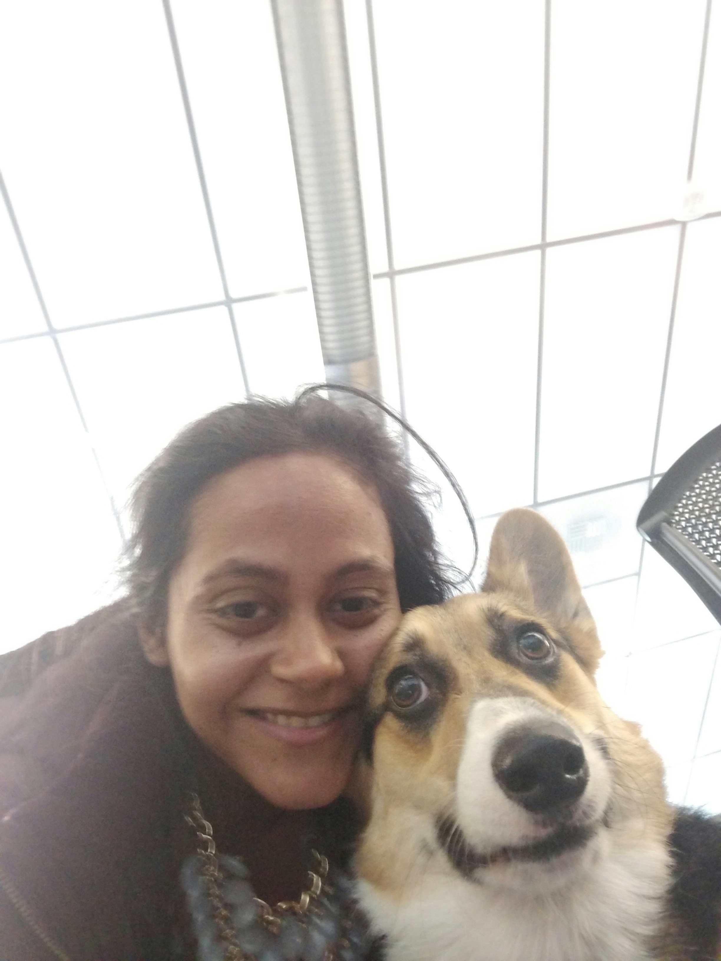 Go to Doni Rath's profile