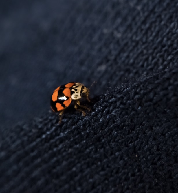 Go to Erik Aquino's profile