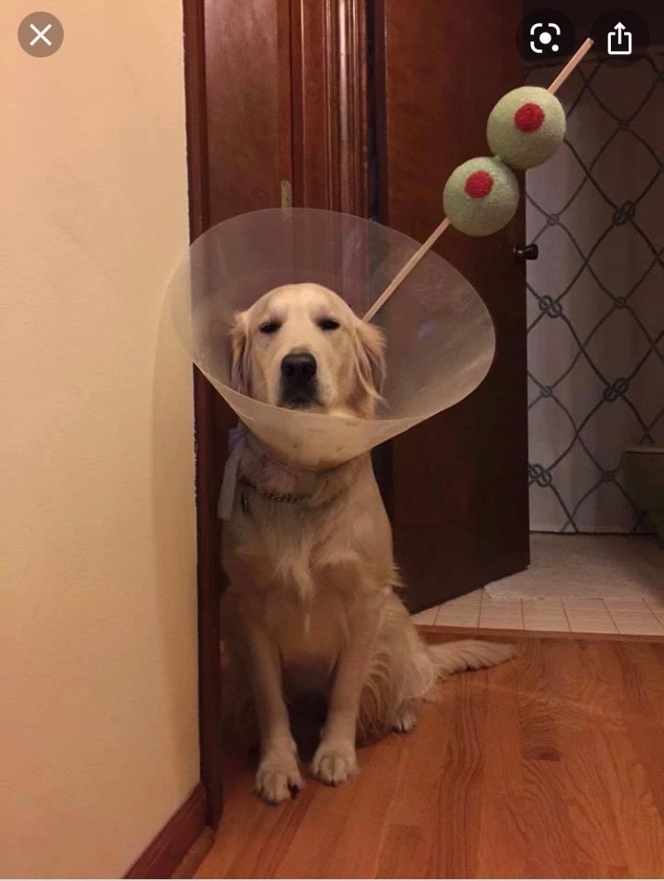 Go to Nina Popovic's profile