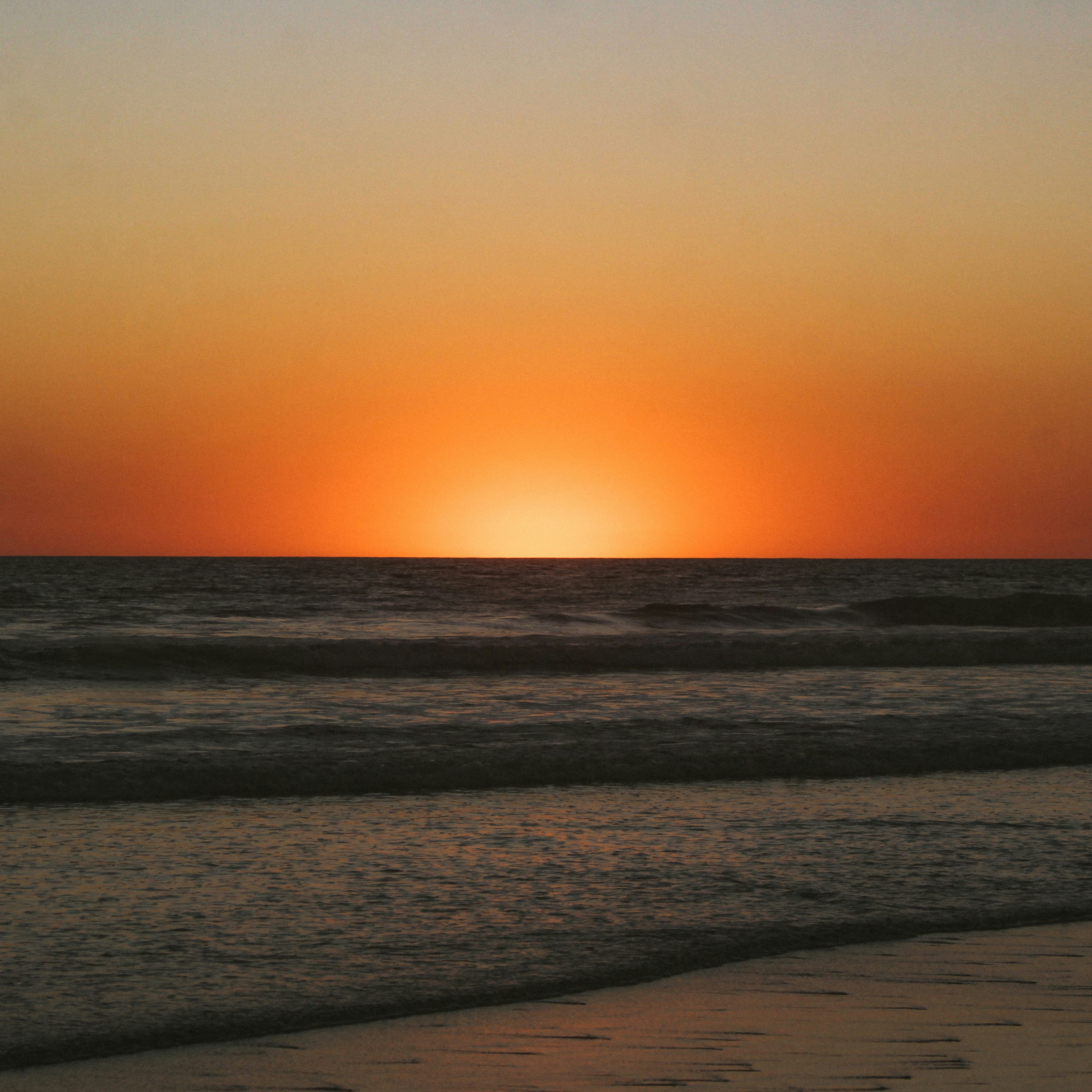 Zum Profil von Rebeca Rosales