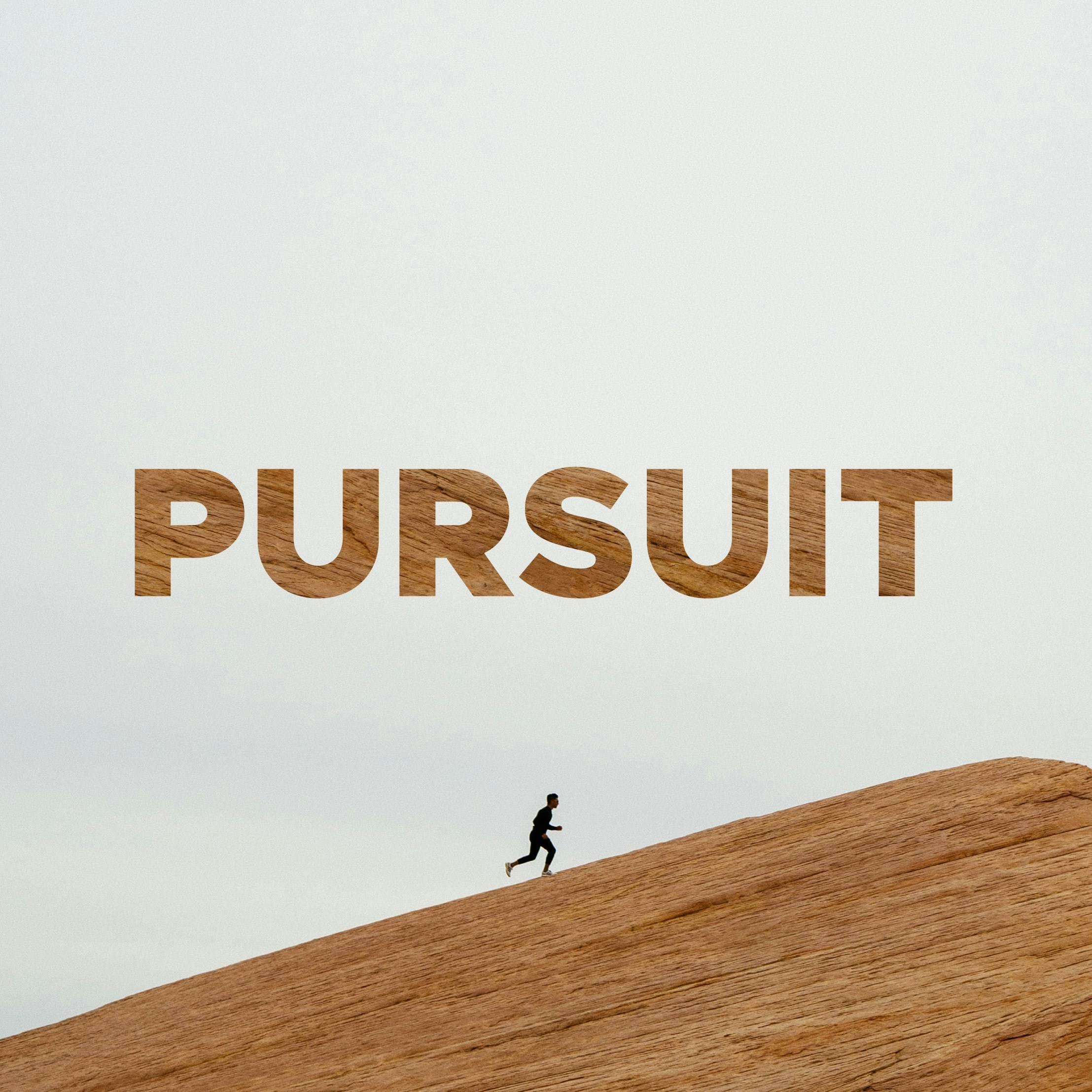 Go to sedec's profile