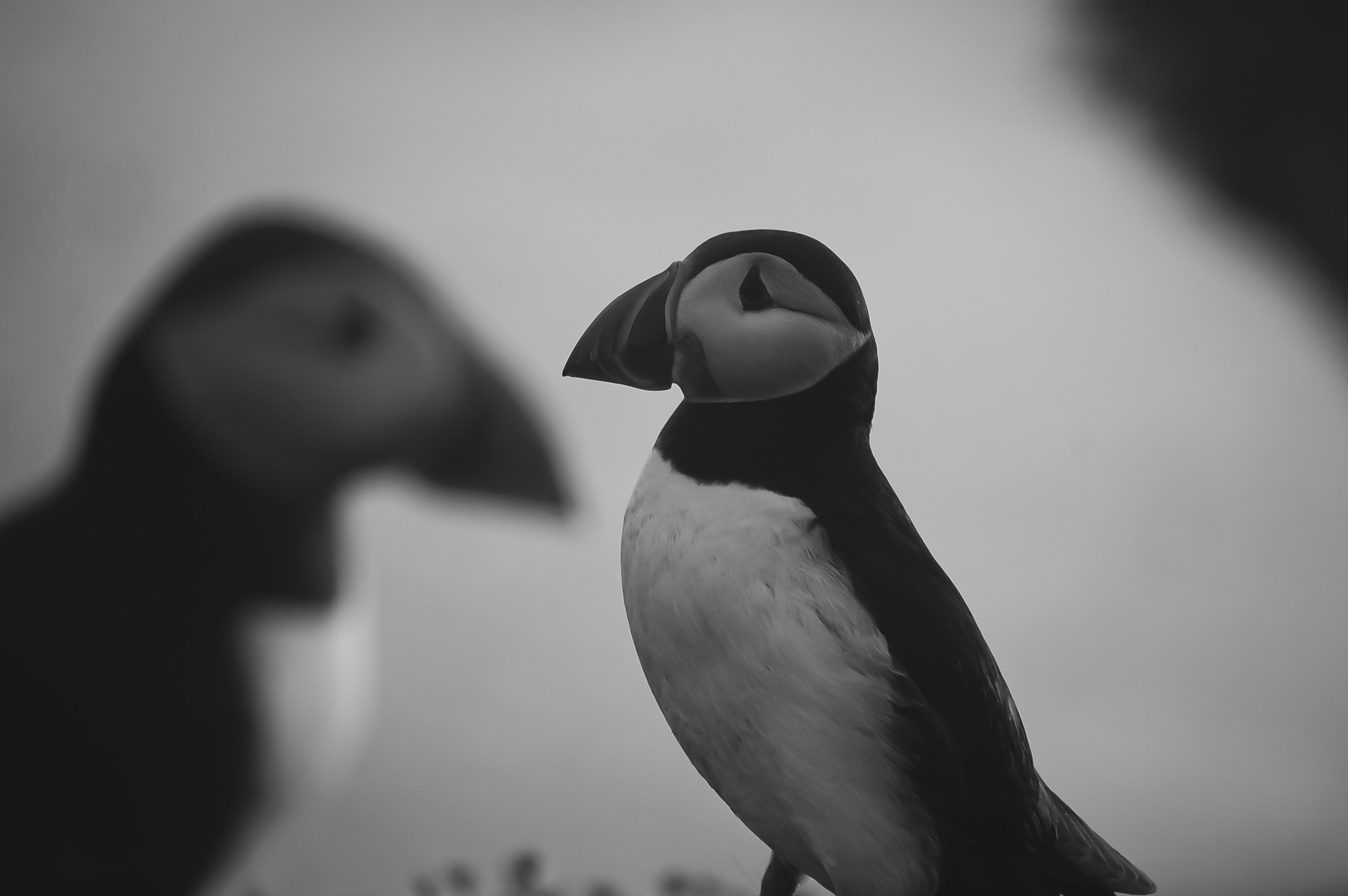 Zum Profil von Ben Neal