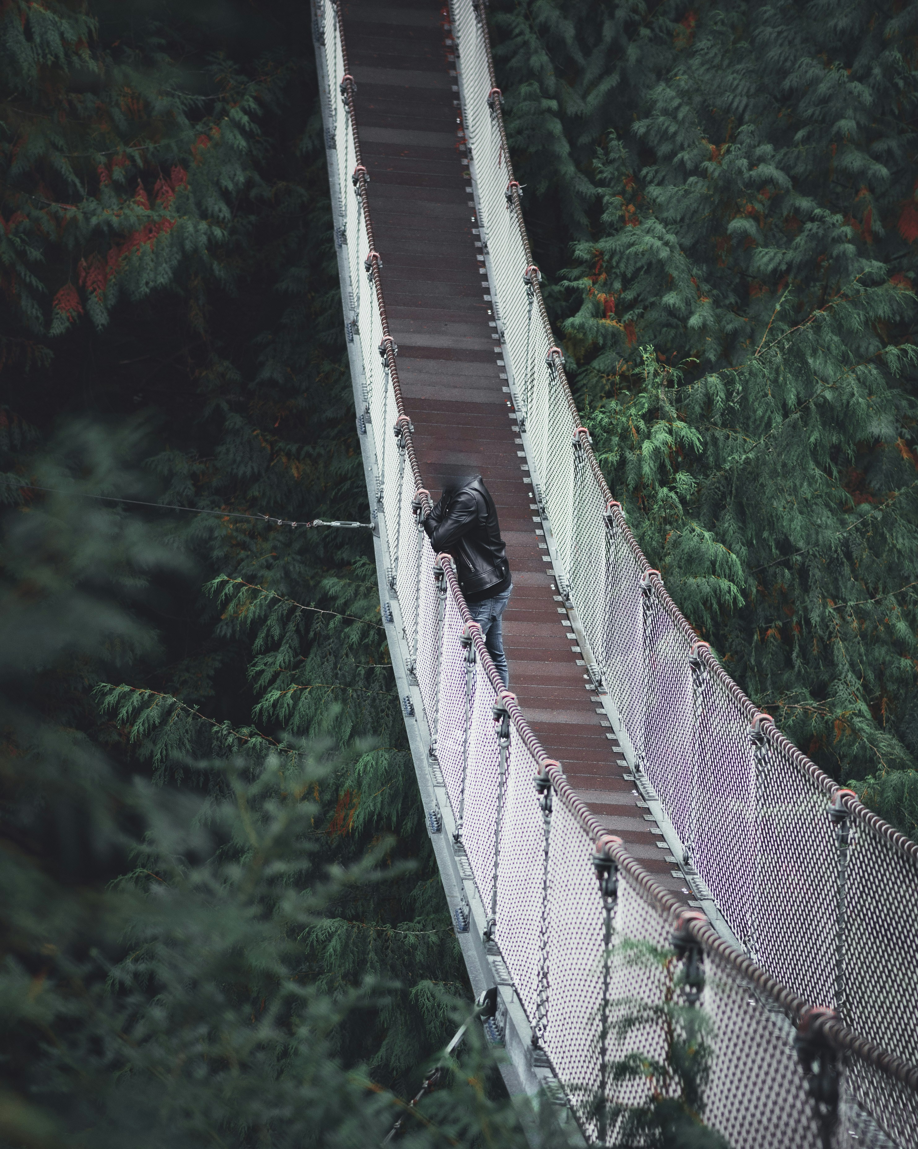 Avatar de l’utilisateur Kobe Tang